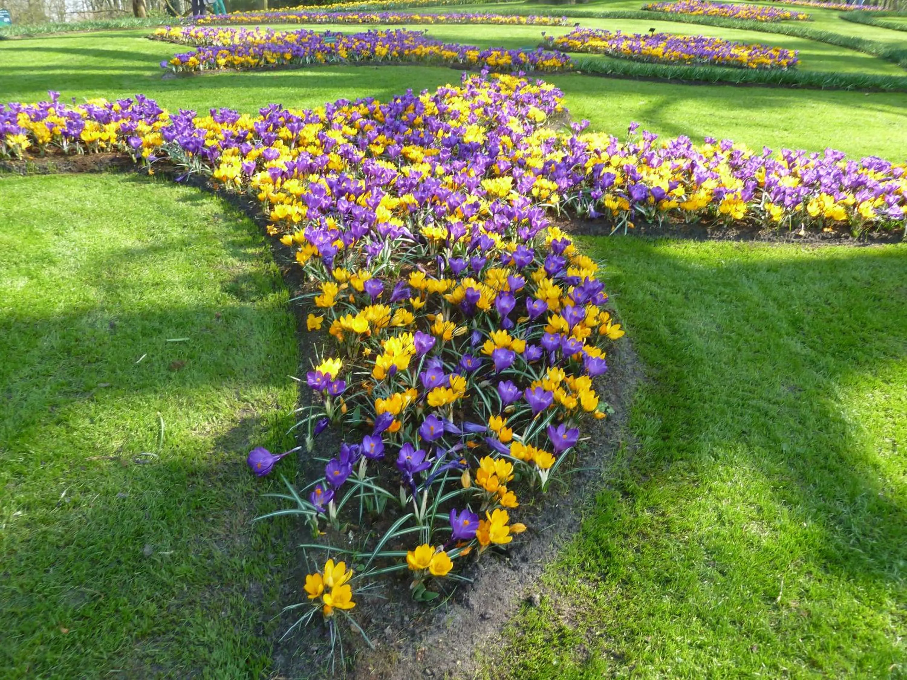 Nearby landmark in Nicolette Apartments