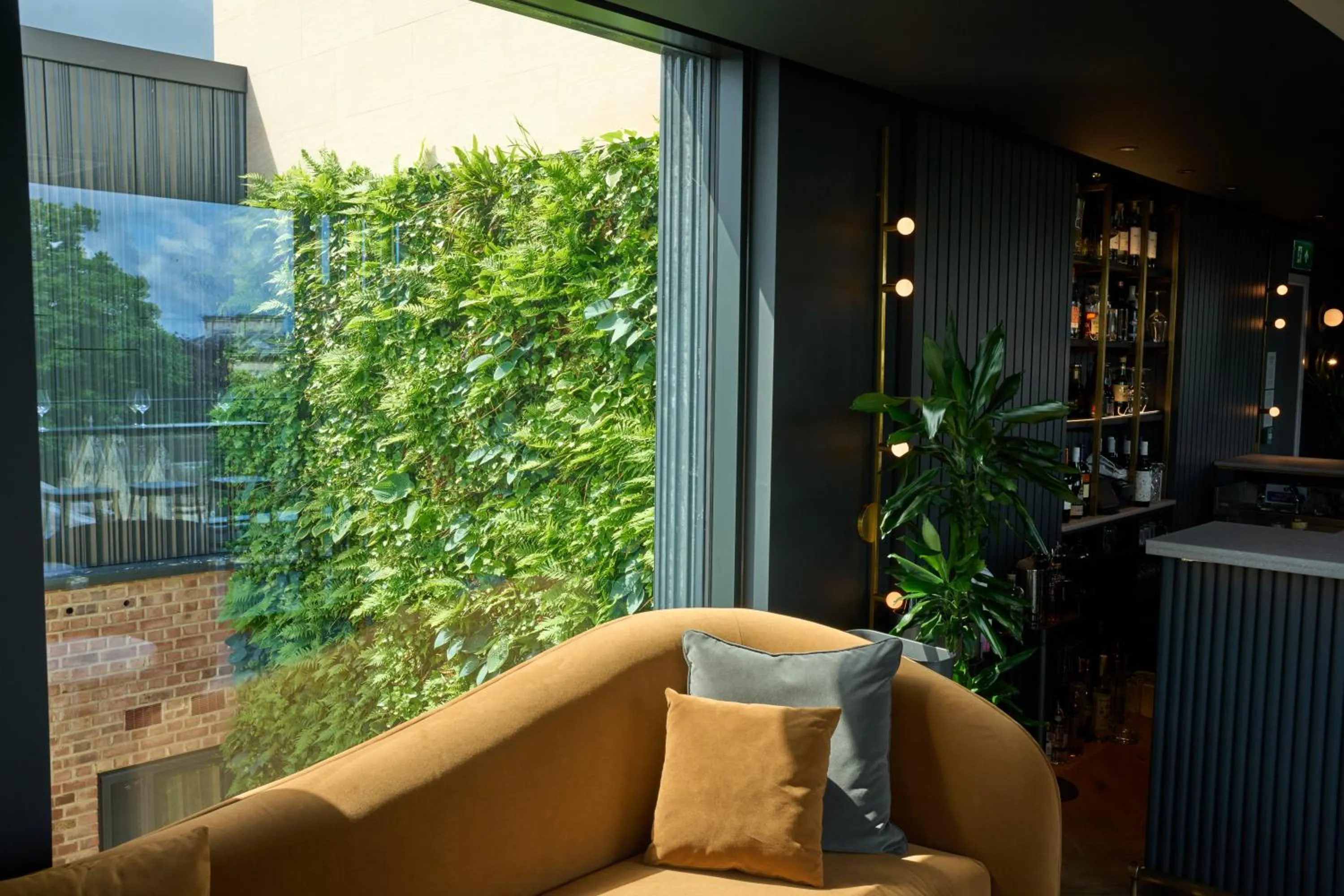 View (from property/room) in The Store