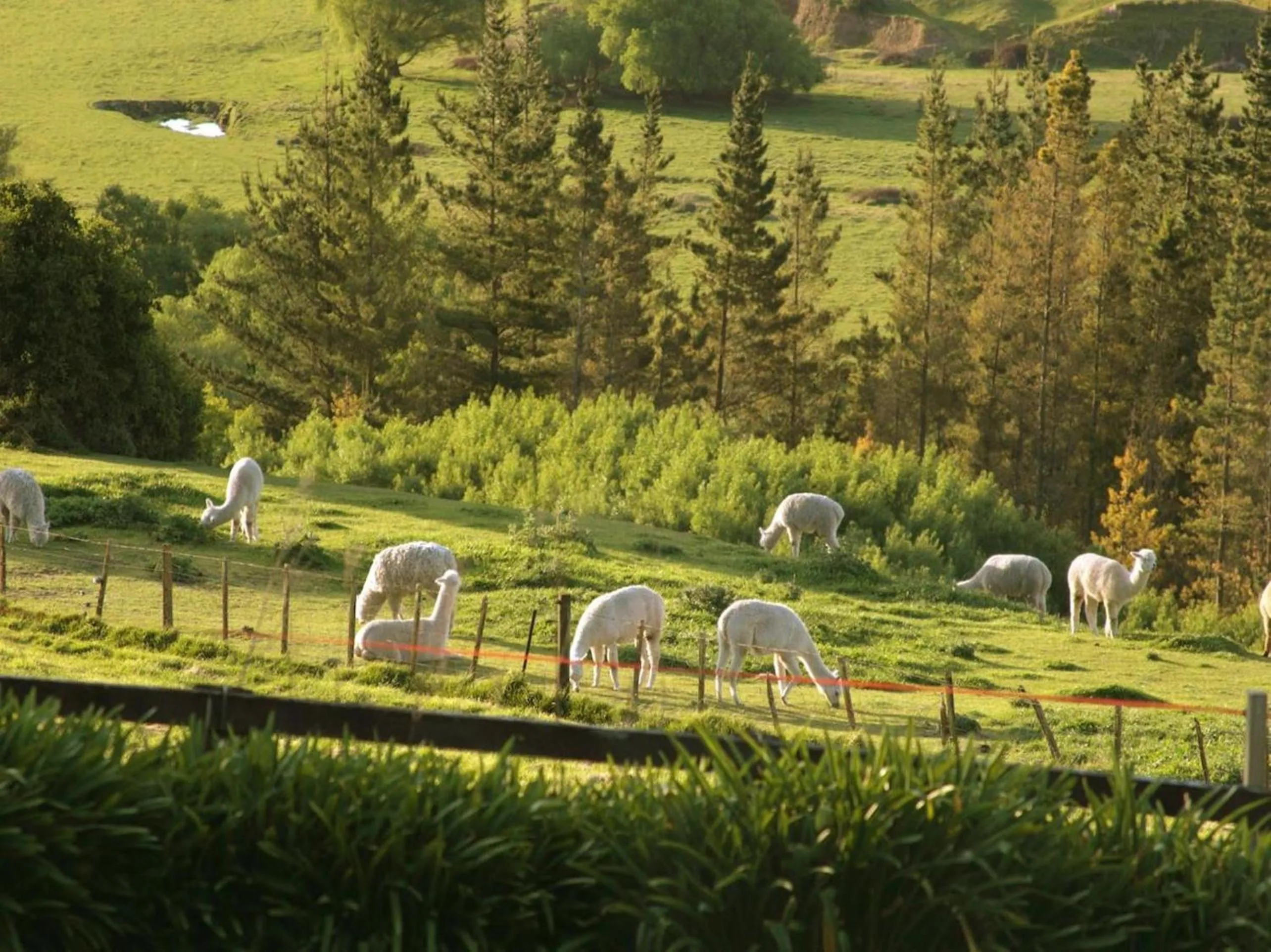 Area and facilities in The Manse