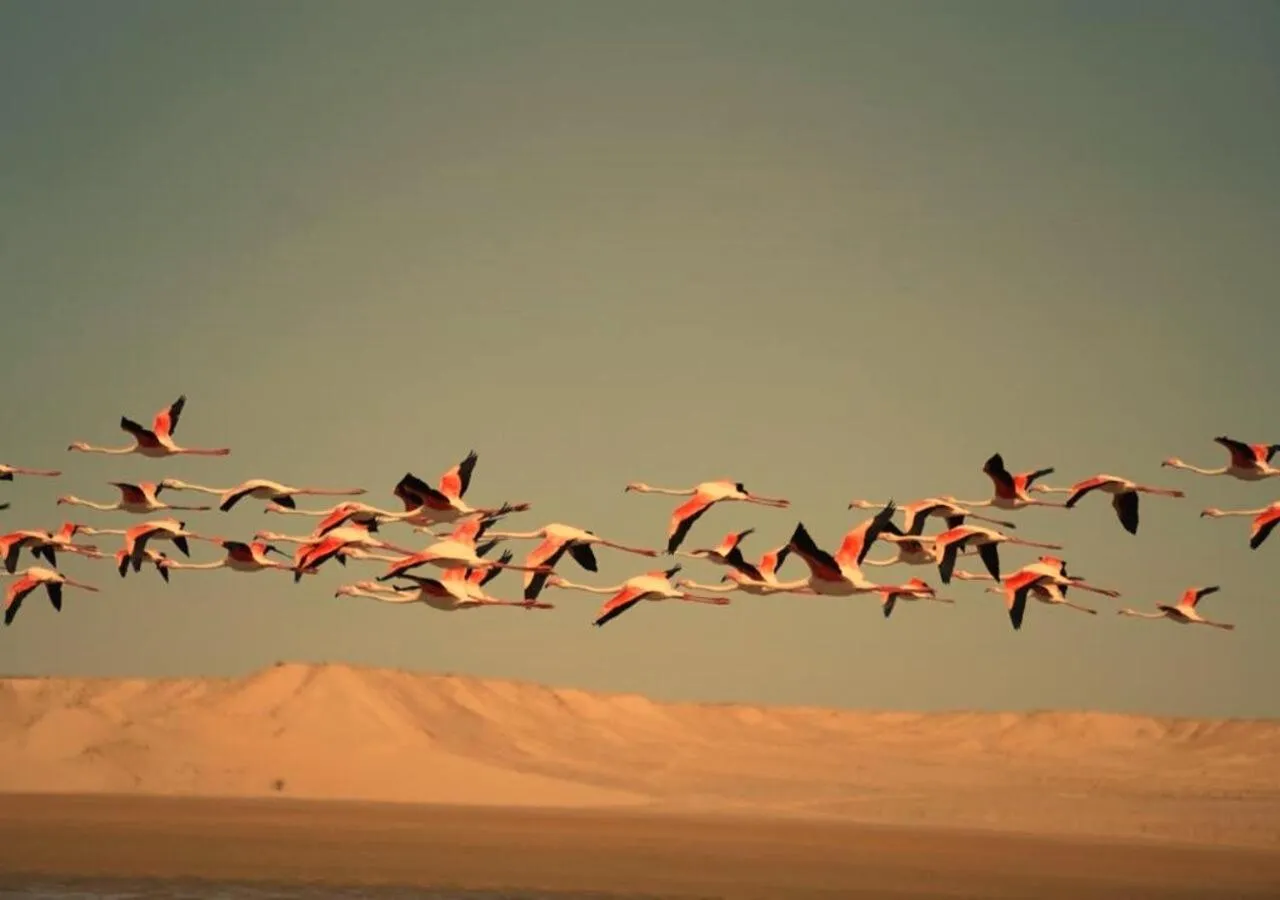 Sports in PARAISO DAKHLA