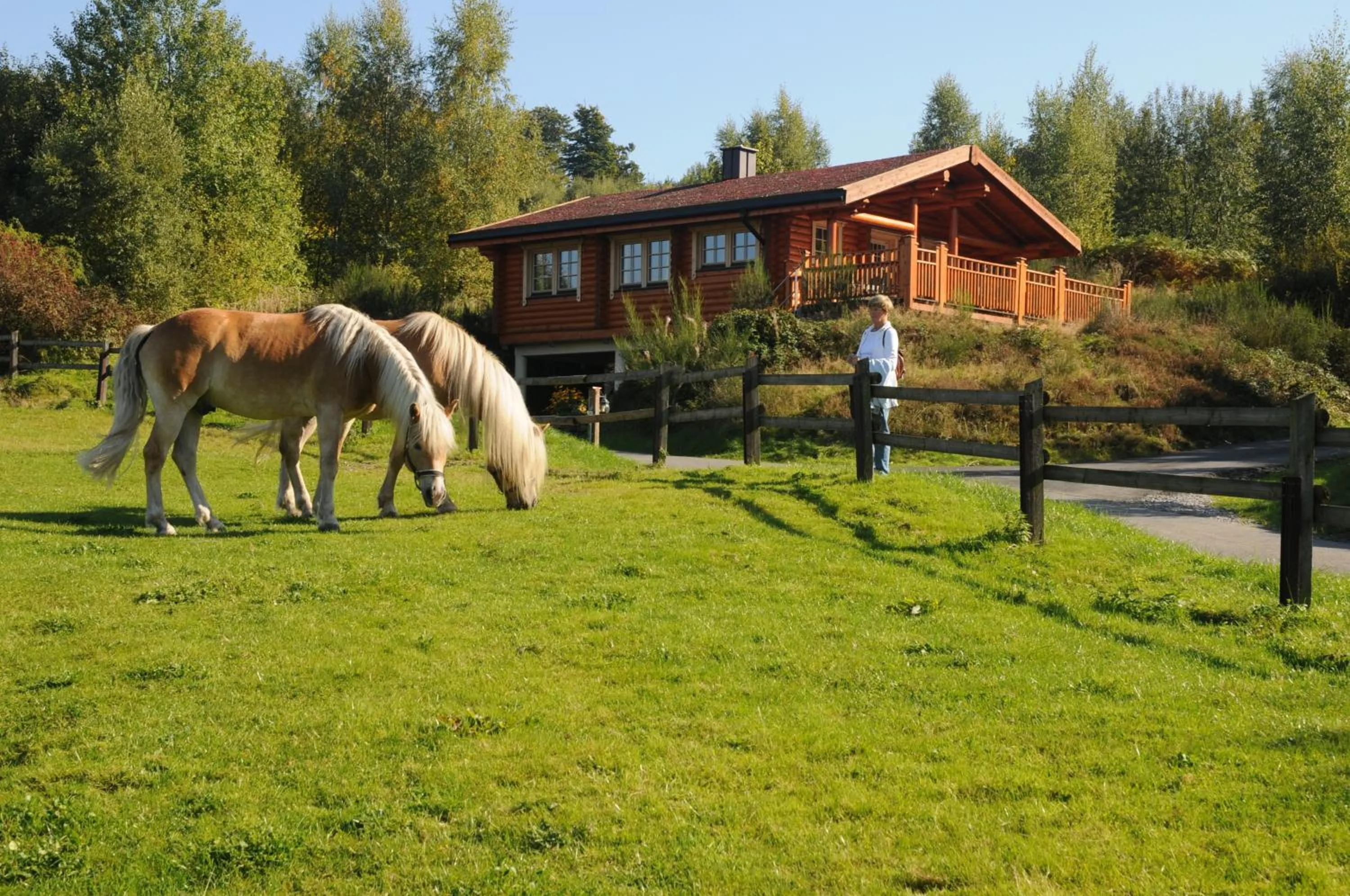 Facade/entrance in Hotelanlage Country Lodge