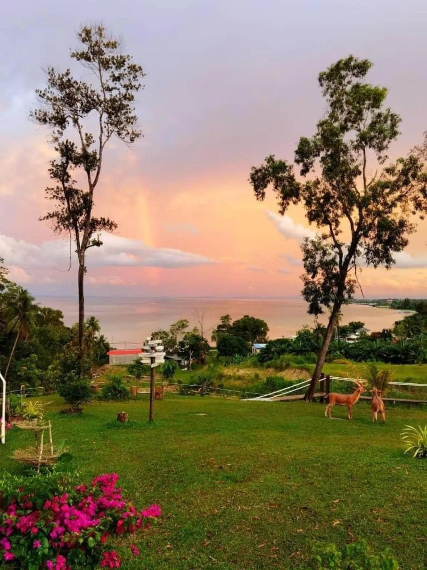 View (from property/room) in D View Holiday Homes