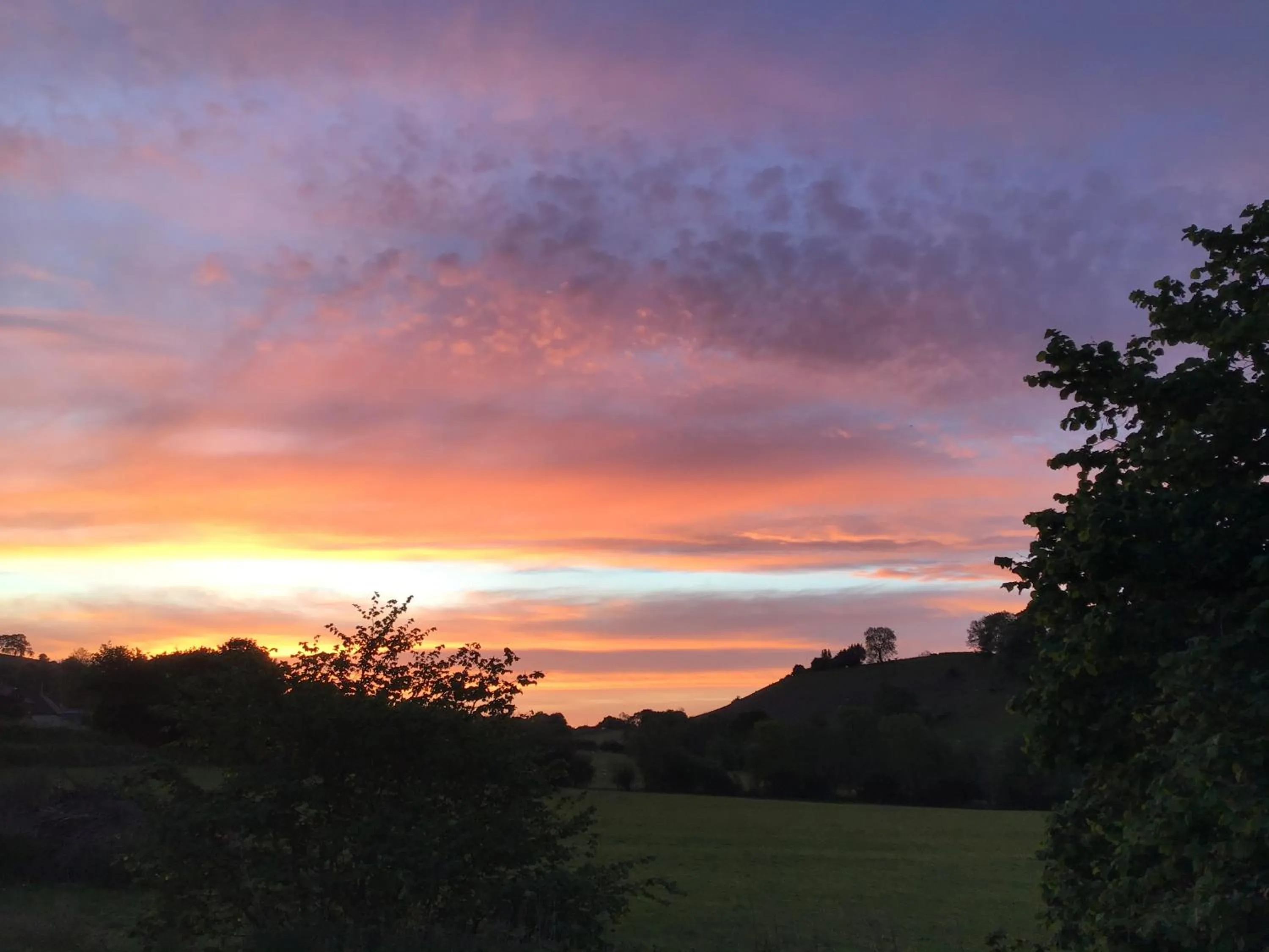 Garden view in Sayang House