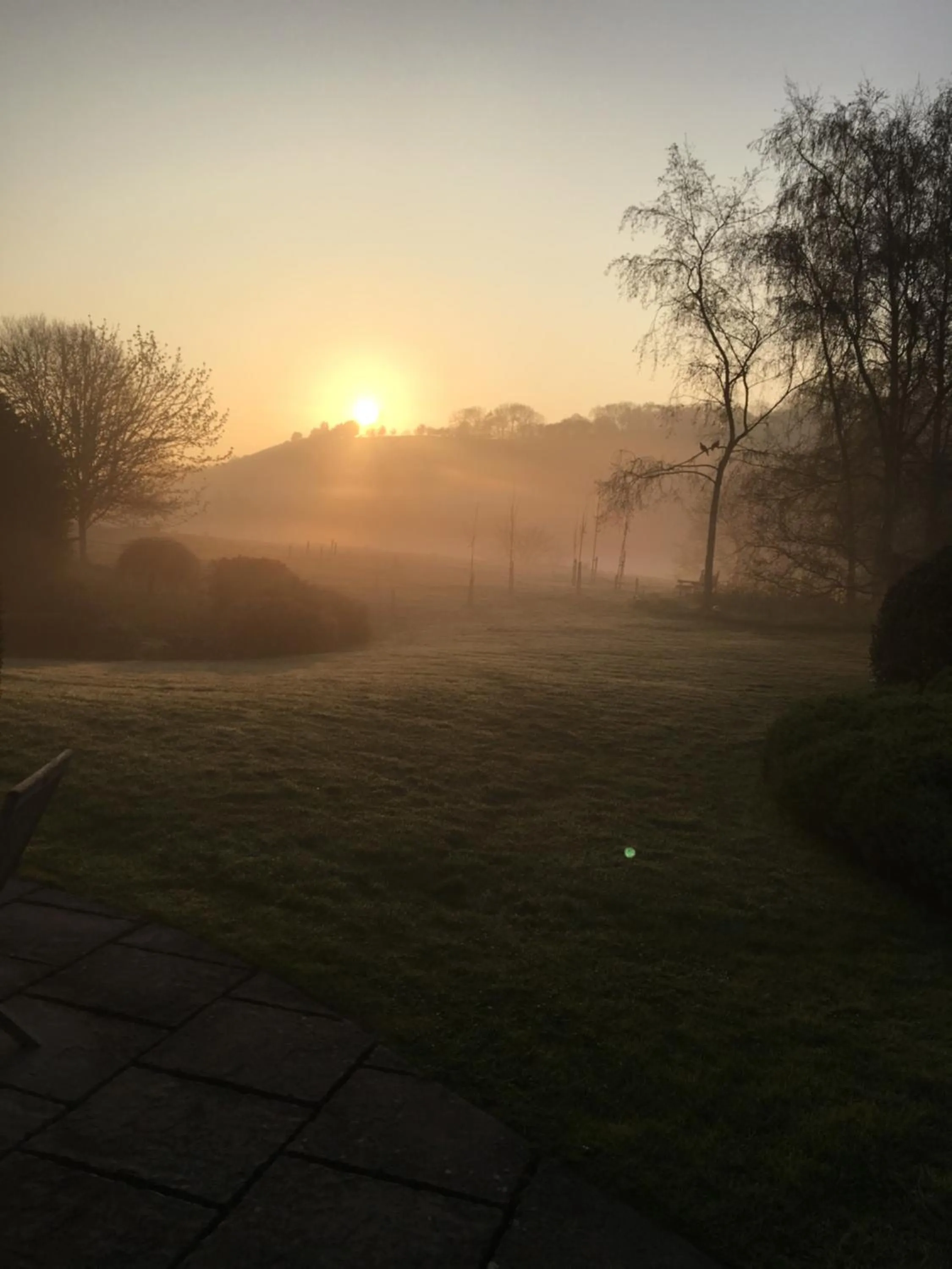 Garden view in Sayang House