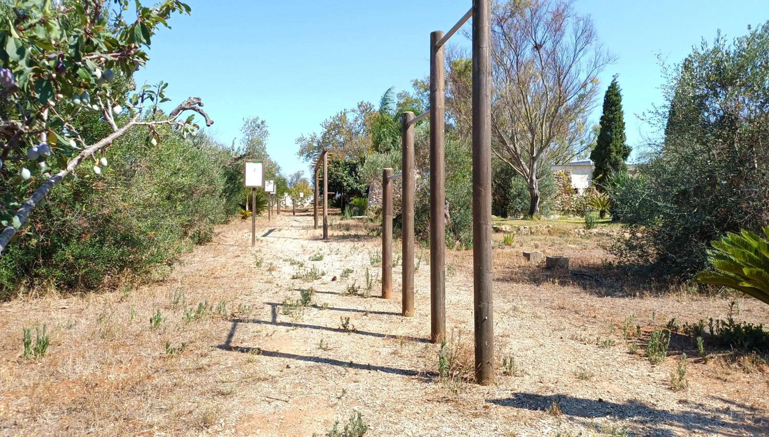 Sports in Borgo Console