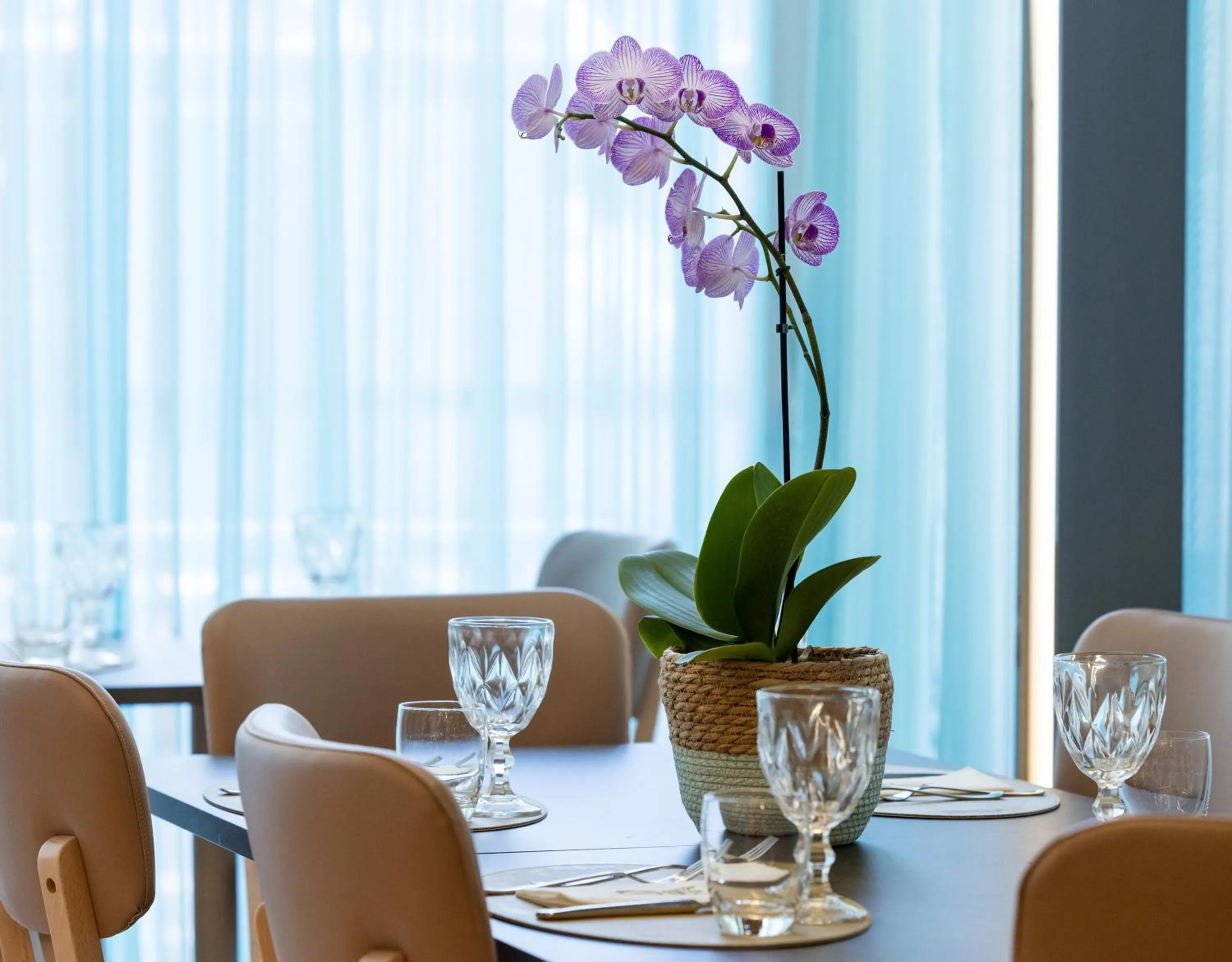 Restaurant/places to eat in Hotel Castellucci