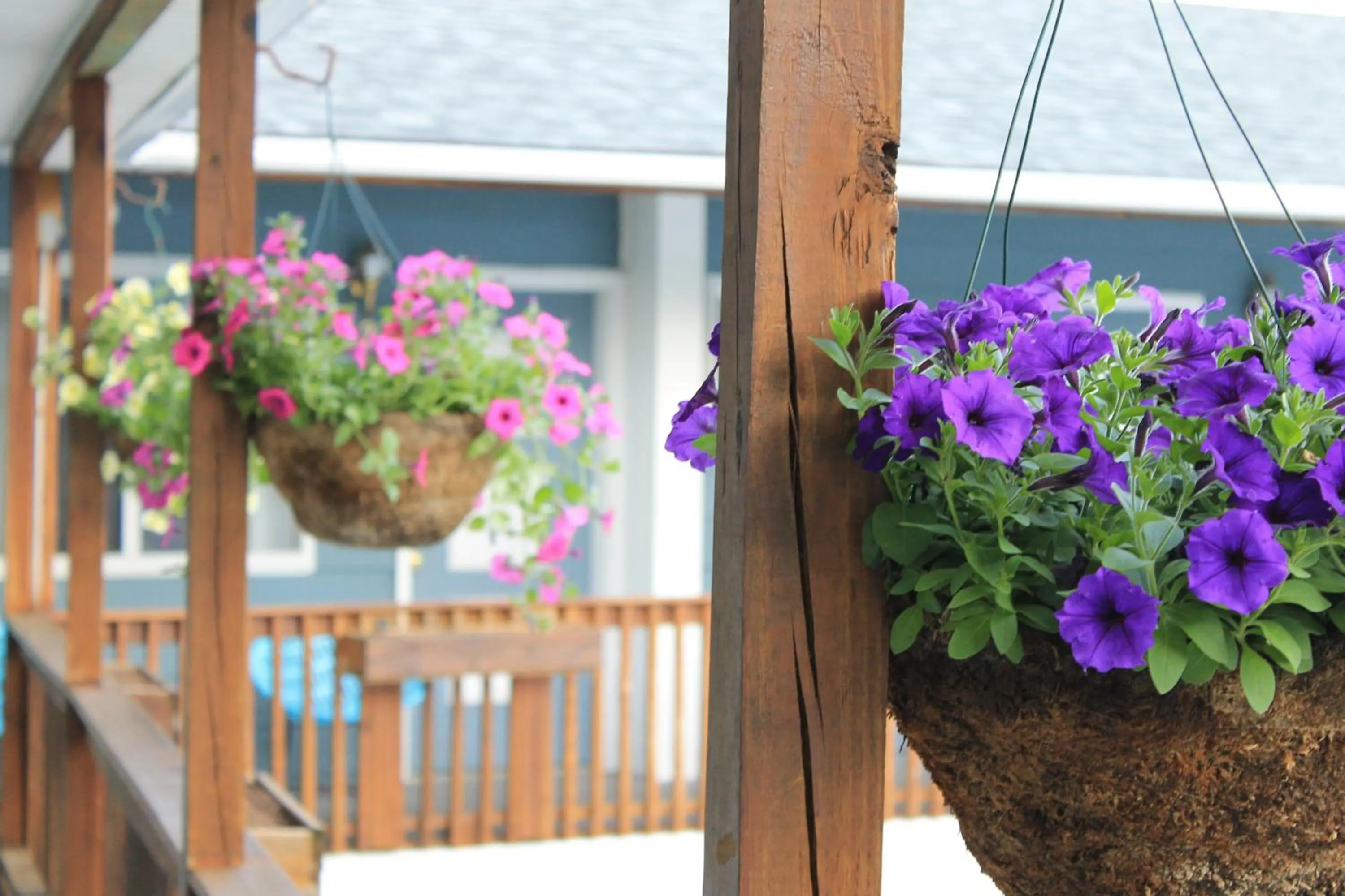 Property building in Lake Haven Motel