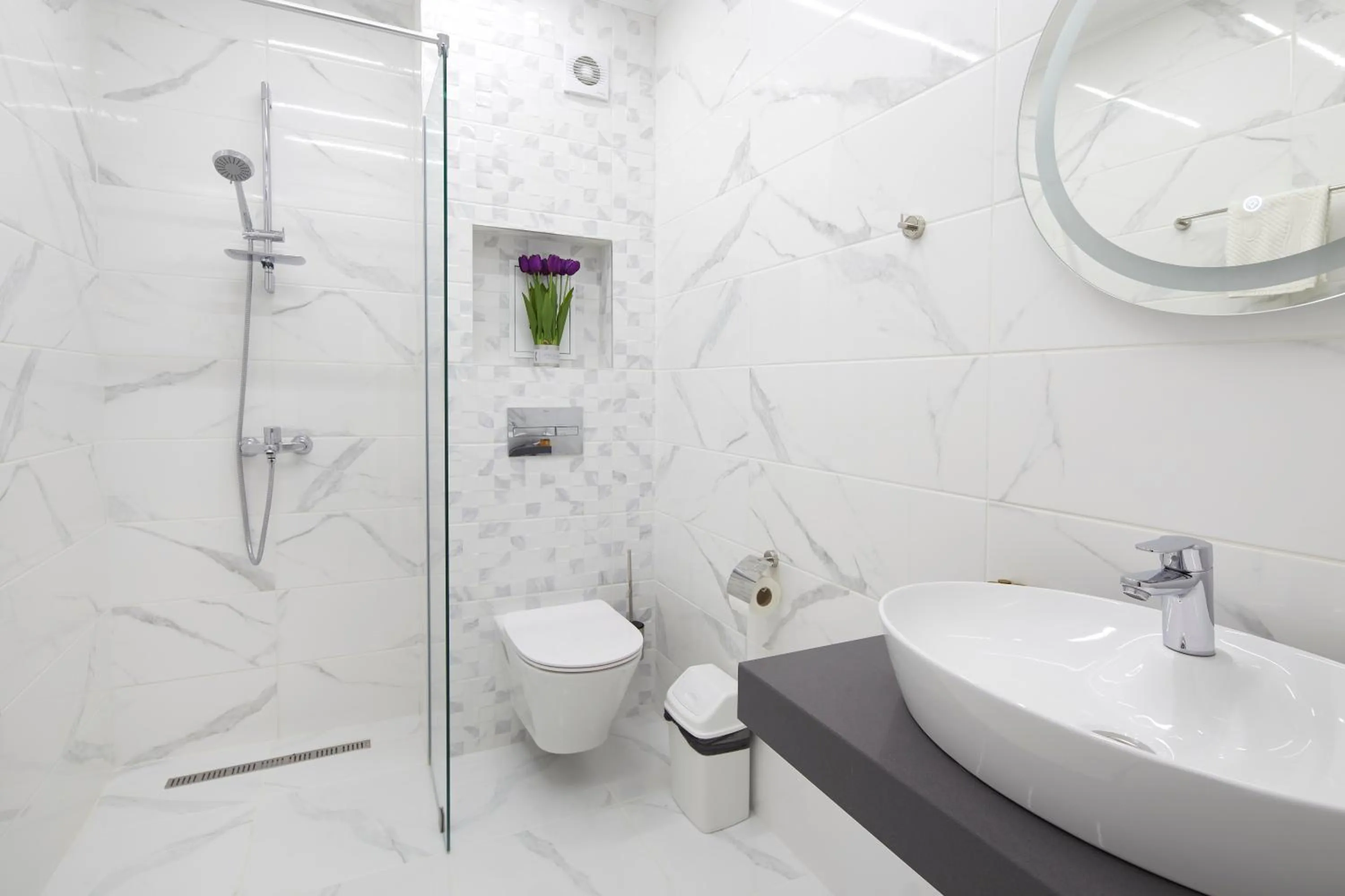 Shower in Bellicity Apart Complex