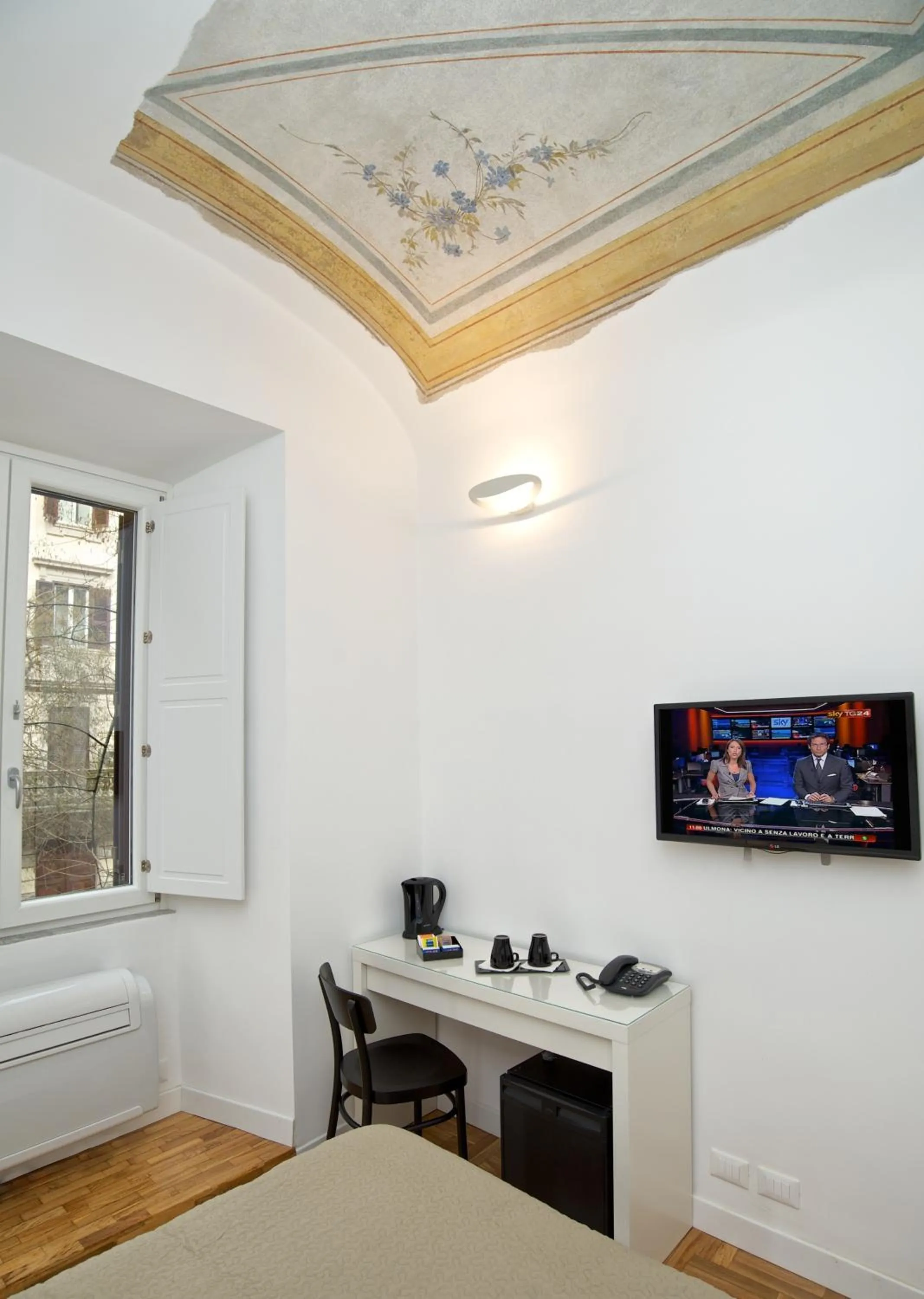 TV and multimedia in Vatican Charme