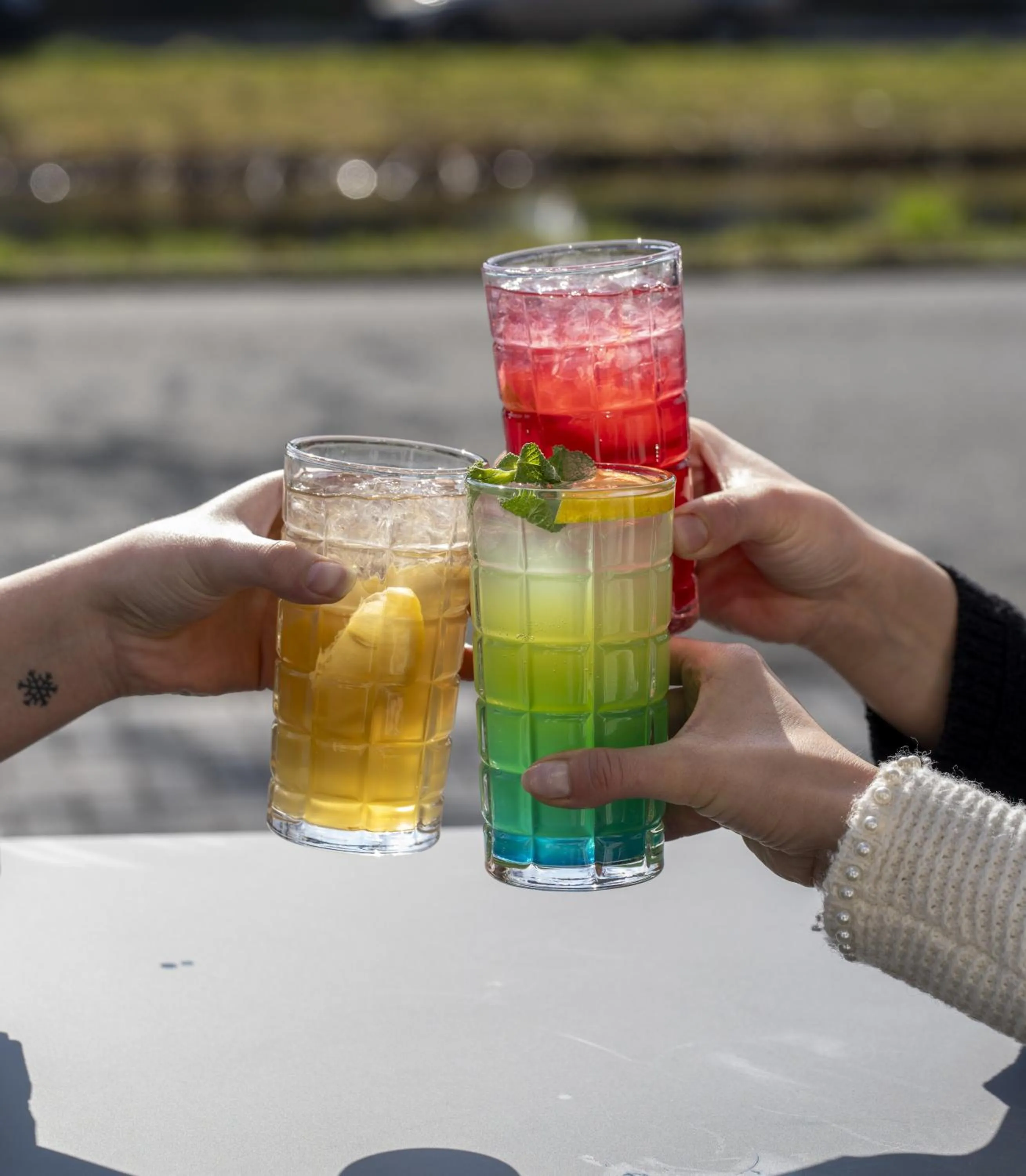 Day in Alp de Veenen Hotel