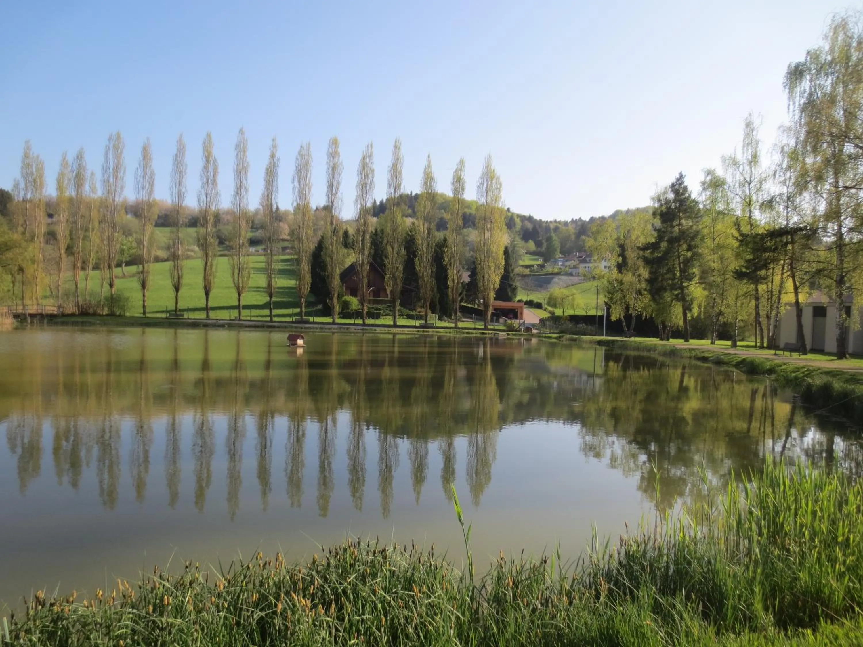 Fishing in La Maison des Fontaines d'Alsace