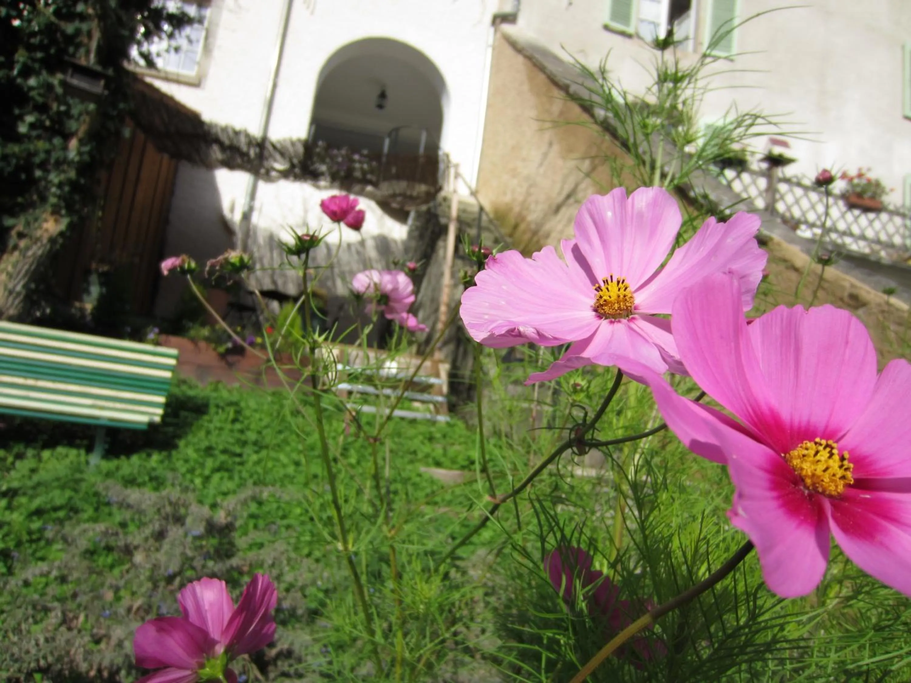 Summer in La Maison des Fontaines d'Alsace