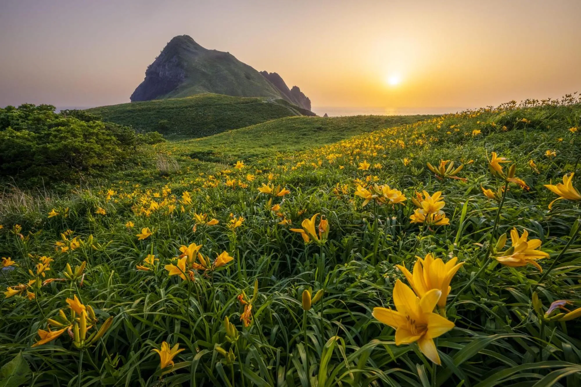 Nearby landmark in Sado Ryosou Minato