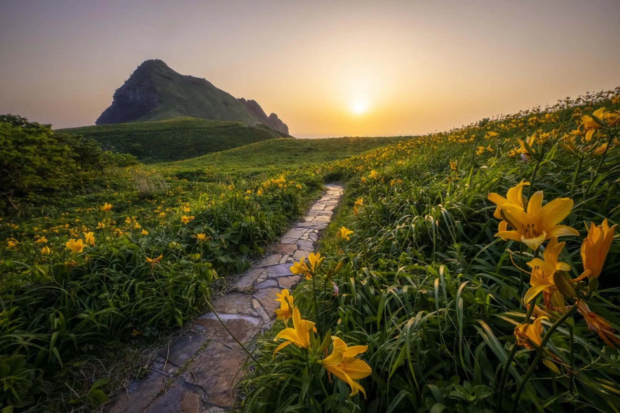 Nearby landmark in Sado Ryosou Minato