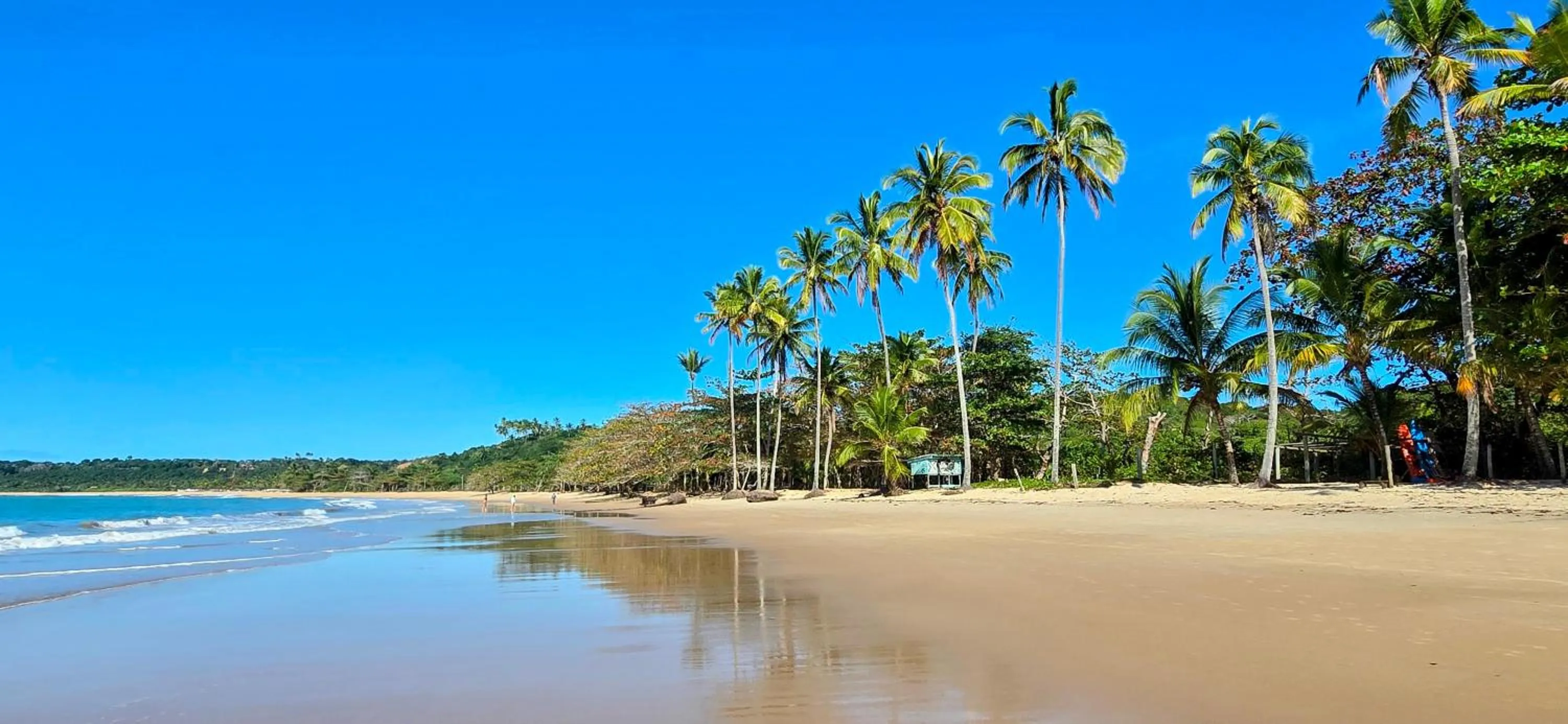 Natural landscape in Vila Pitanga Trancoso