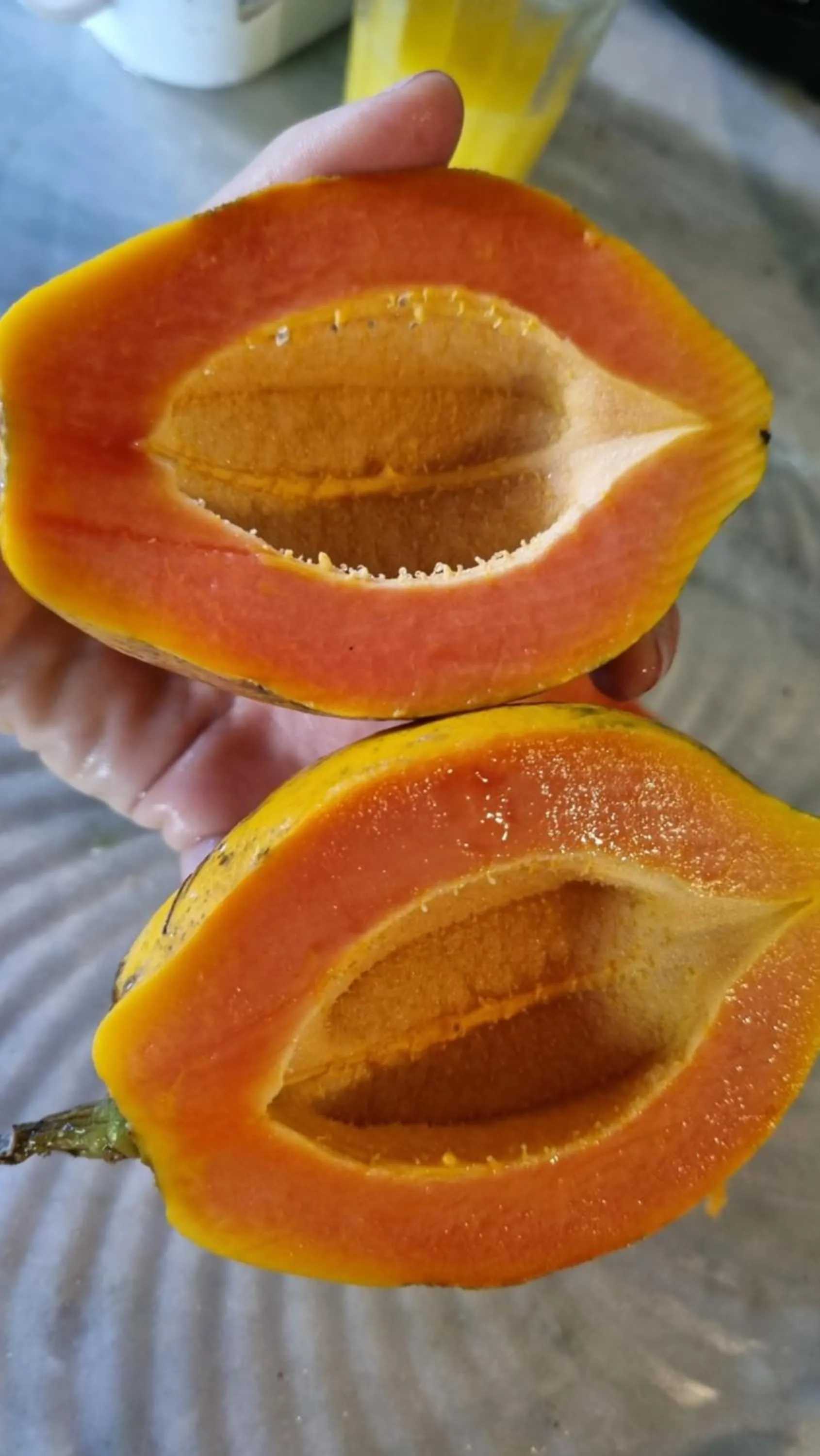 Vila Pitanga Trancoso