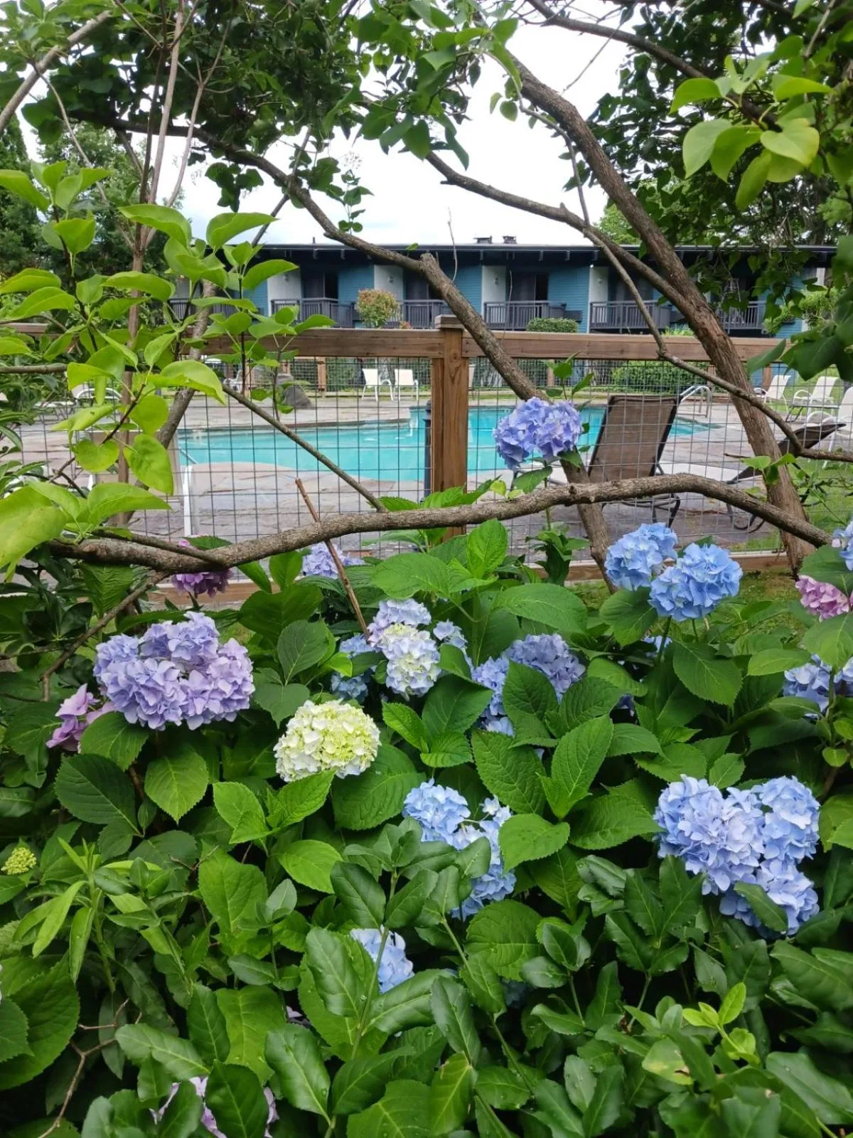 Hotel Vervana, Trademark Collection by Wyndham