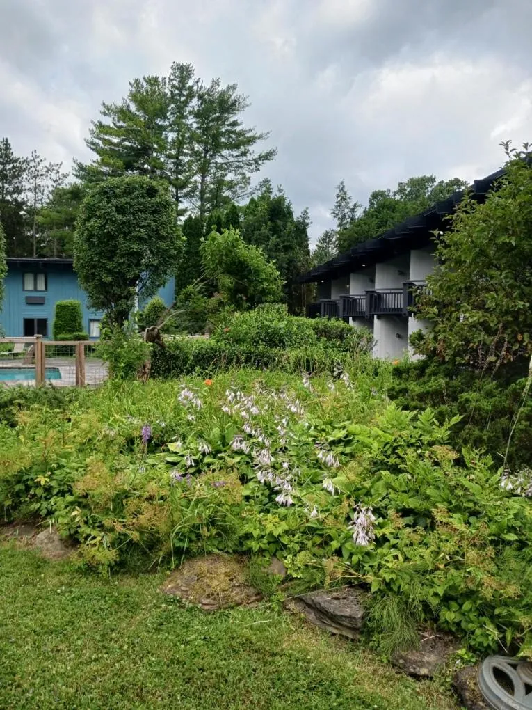 Hotel Vervana, Trademark Collection by Wyndham