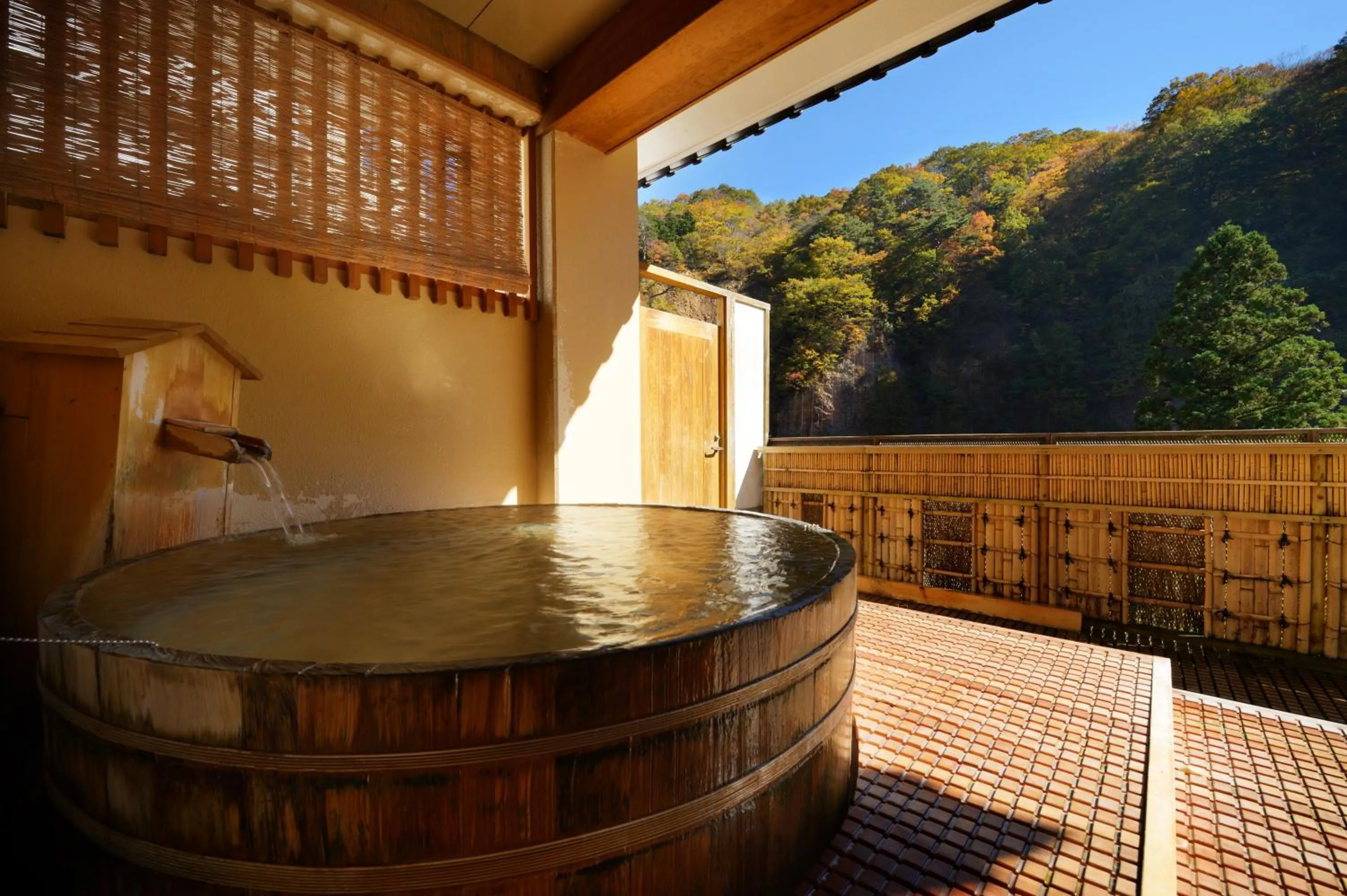 Hot Spring Bath in Sansuiso Tsuchiyu Spa