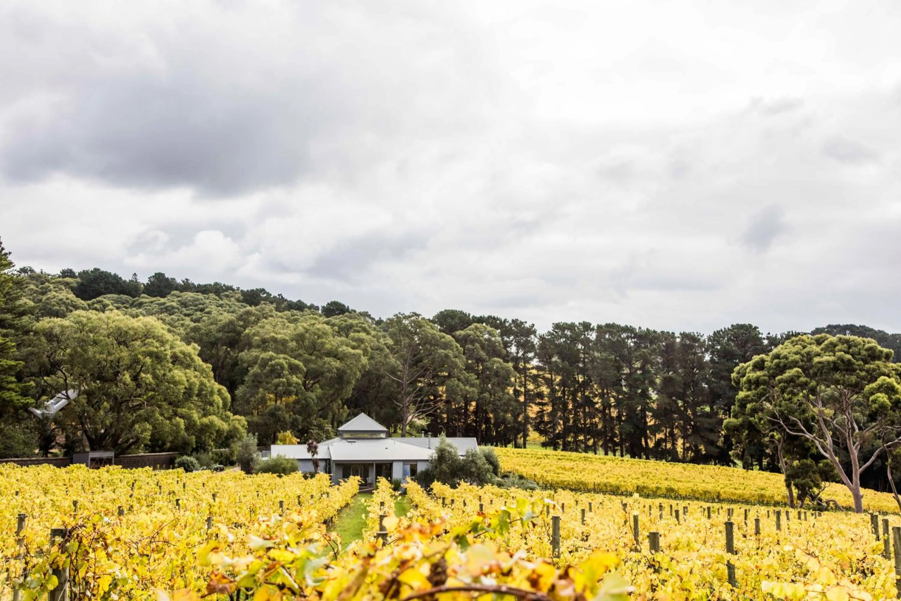 Garden in Polperro Villas