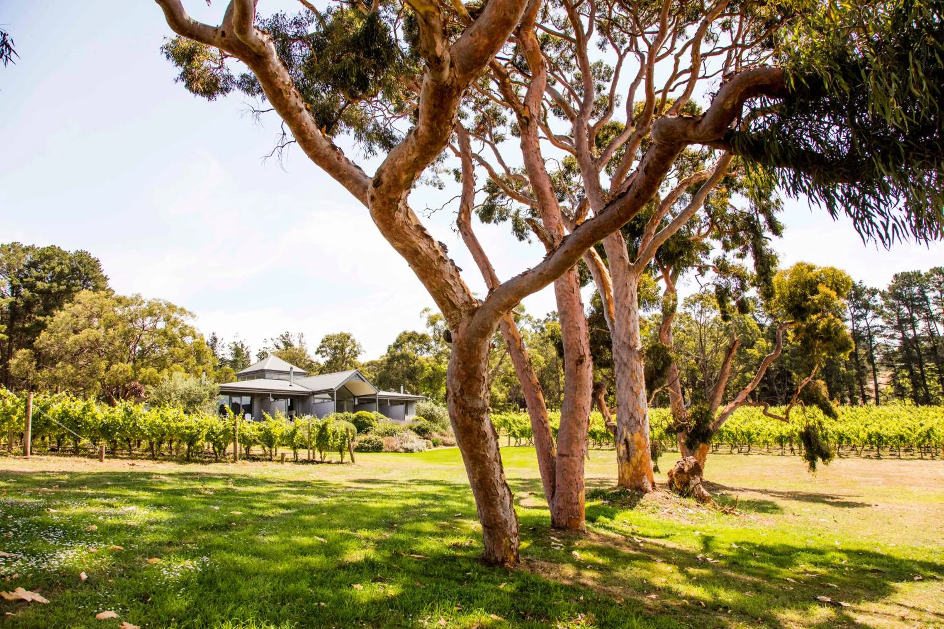 Property building in Polperro Villas