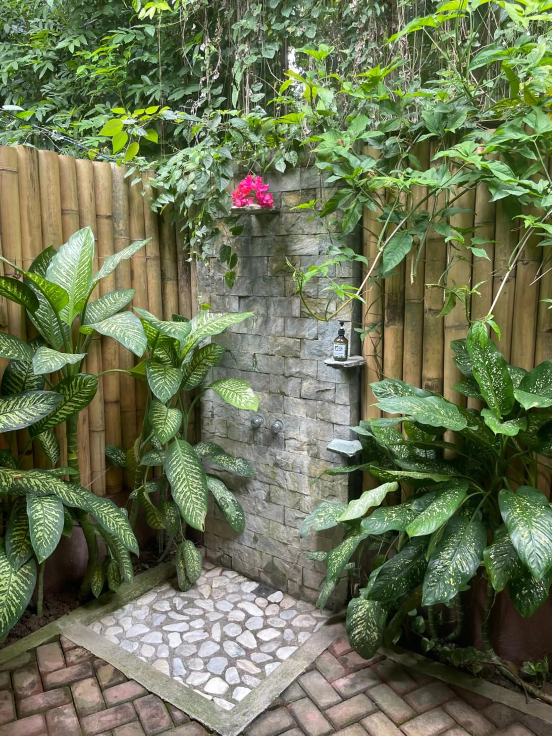 Shower in Fox & The Firefly Cottages