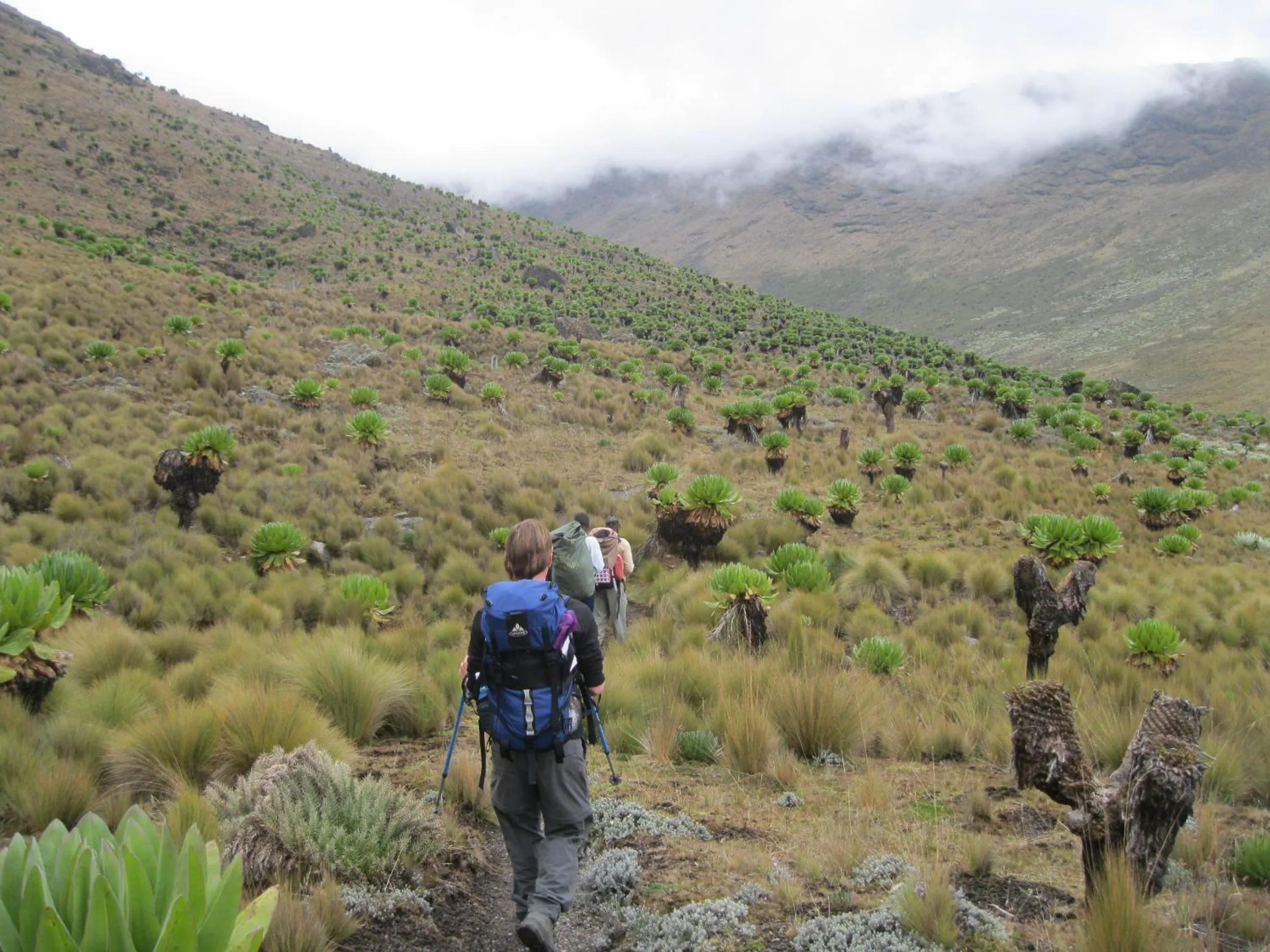 Hiking in Naro Moru River Lodge