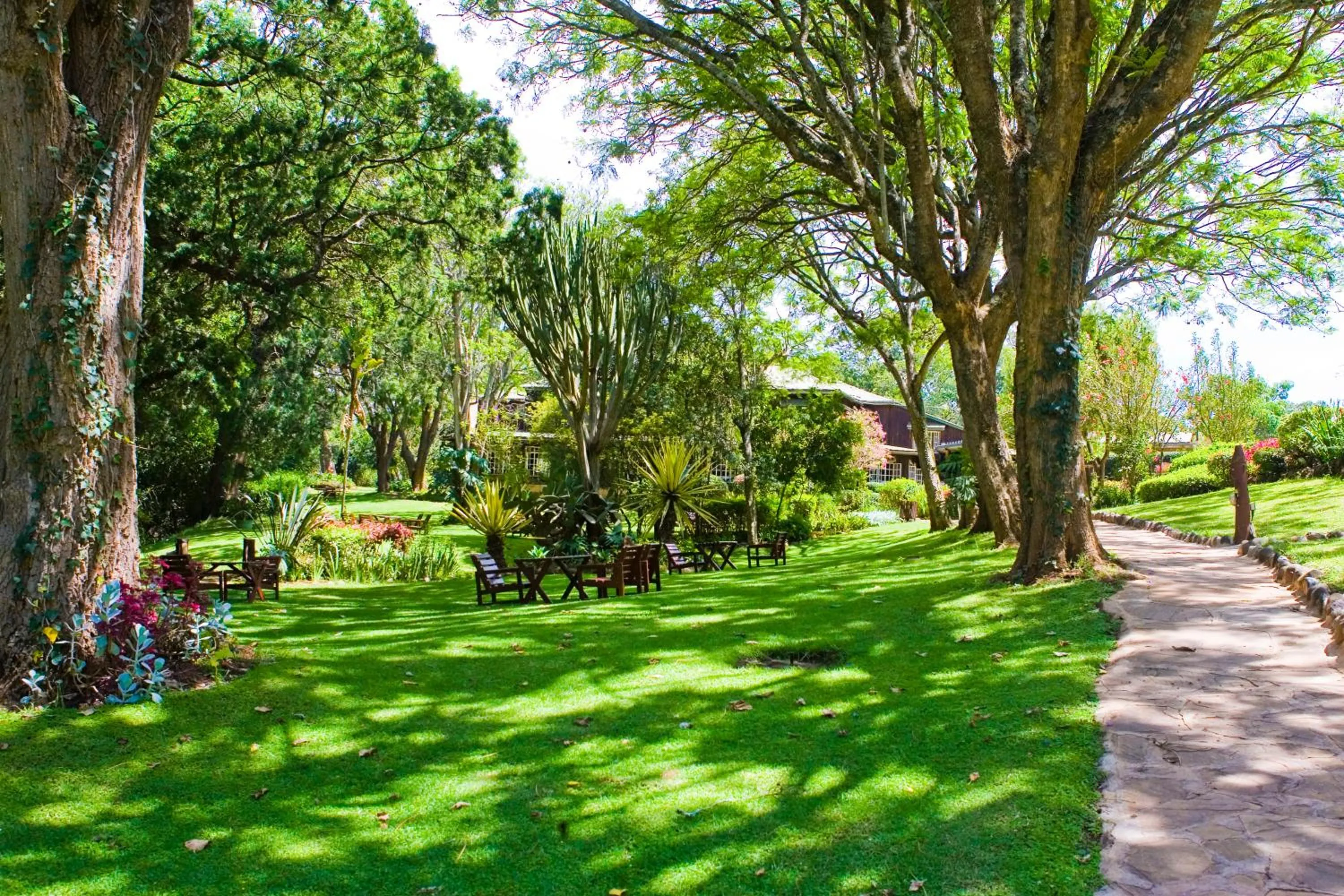 Restaurant/places to eat in Naro Moru River Lodge