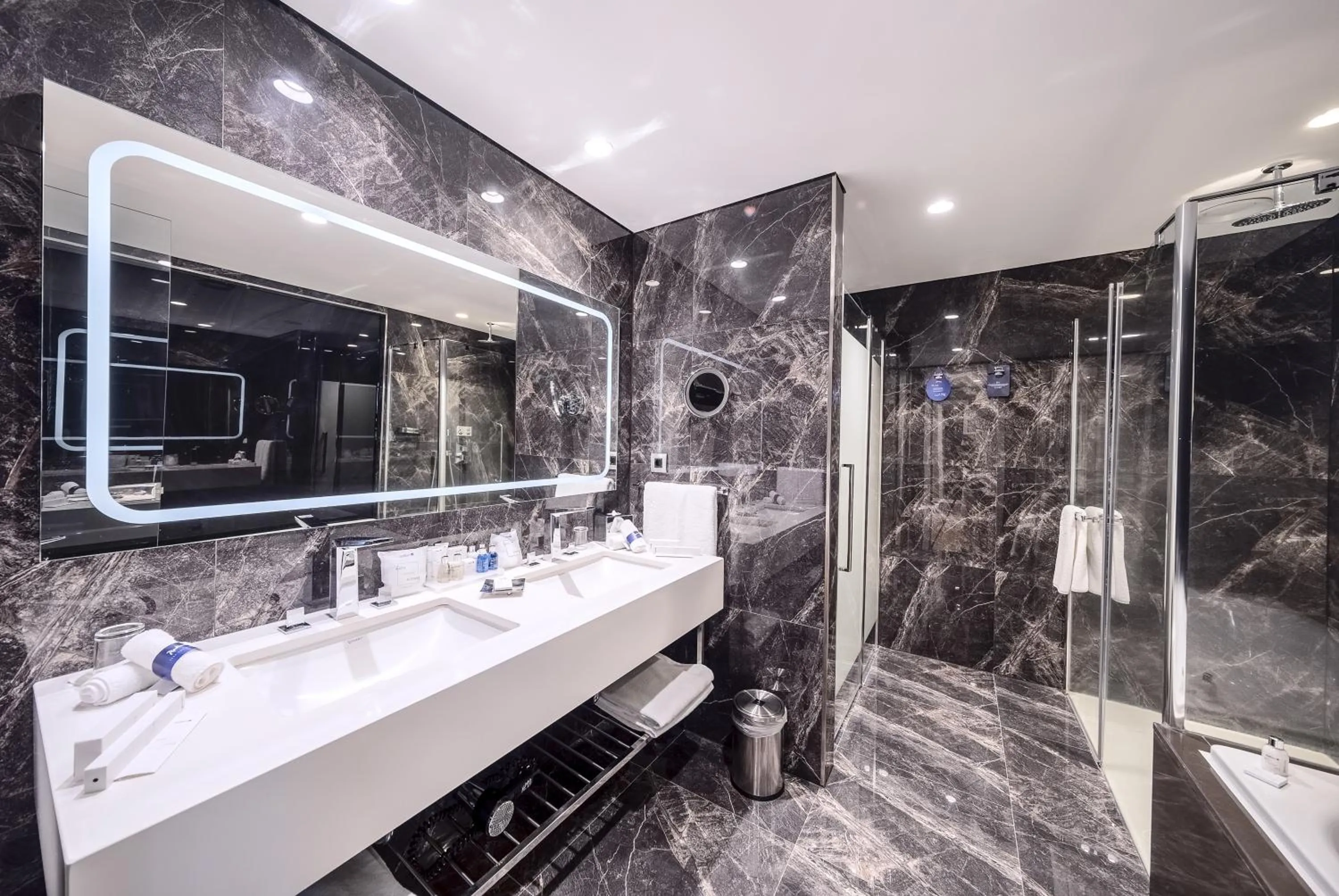 Bathroom in Radisson Blu Hotel, Kayseri