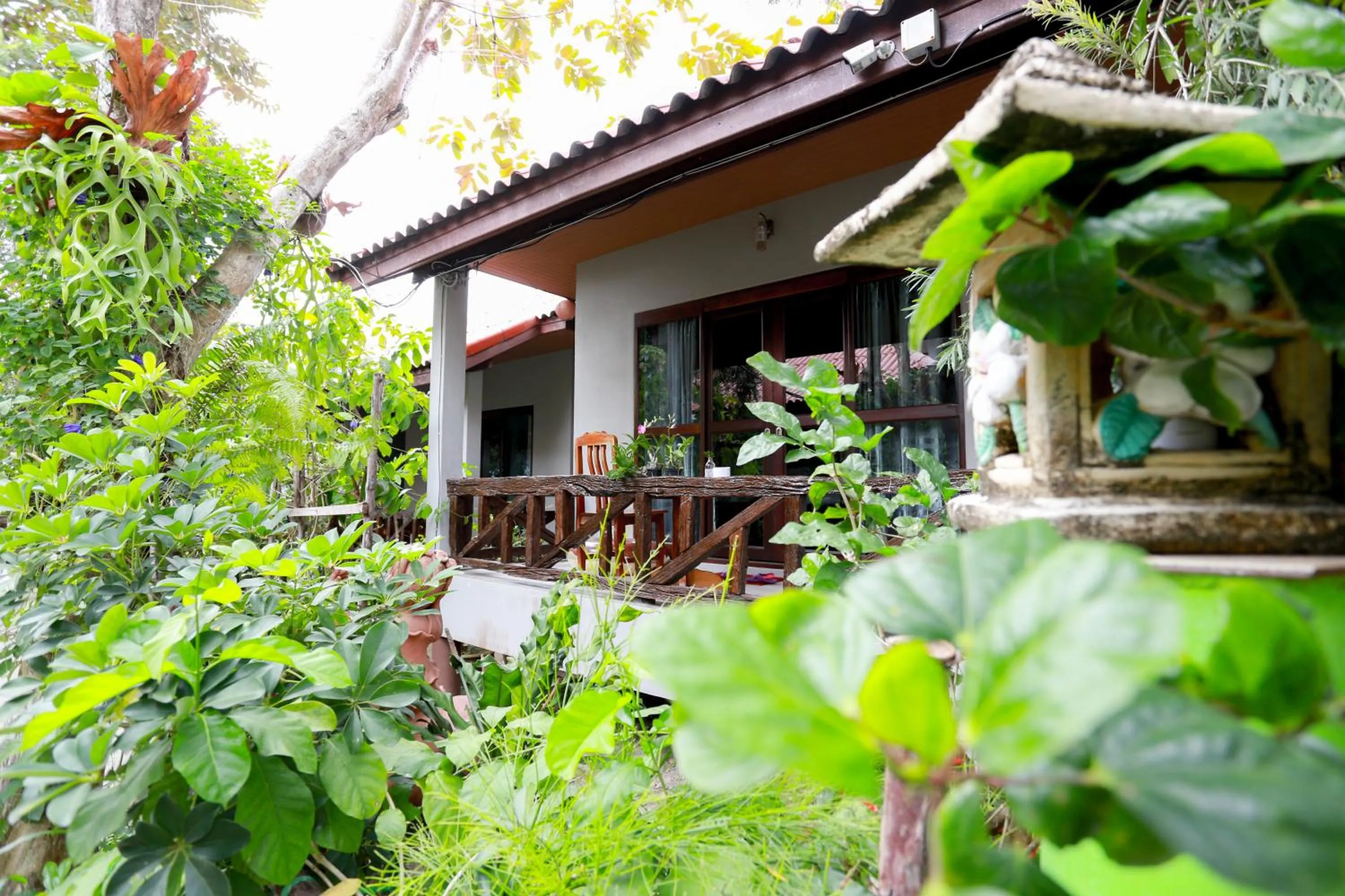 Garden in Sangaroon Bungalow
