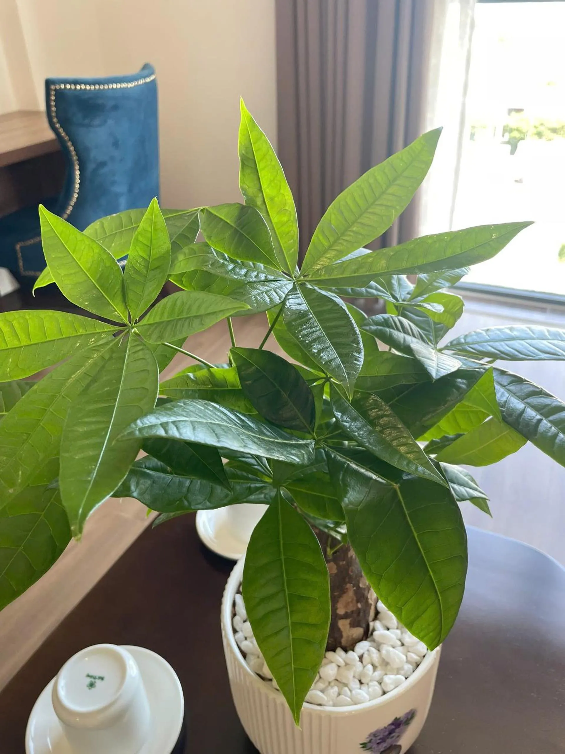 ATP Galaxy Hotel & Apartment Danang