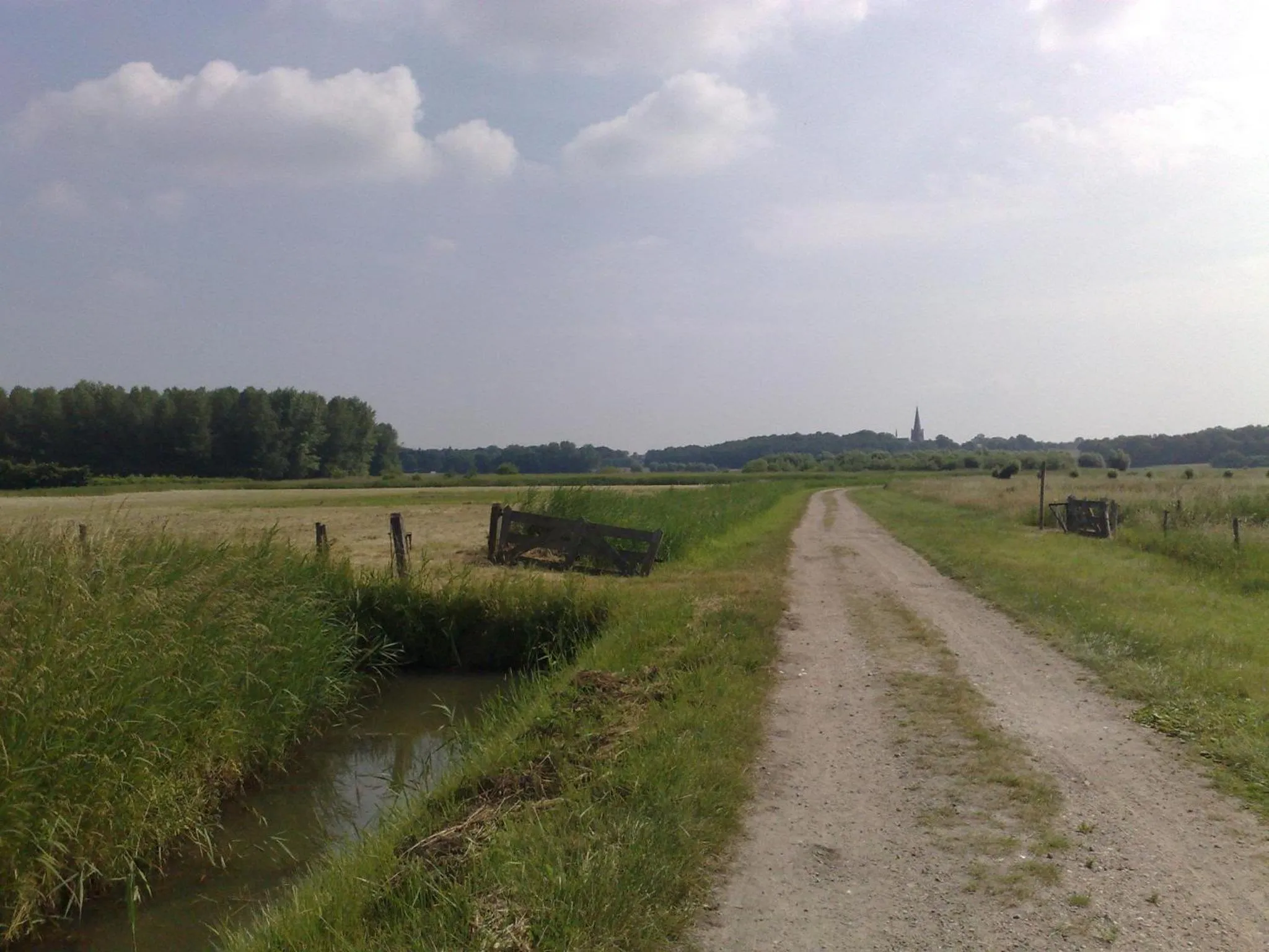 Natural landscape in Hotel Dekkers