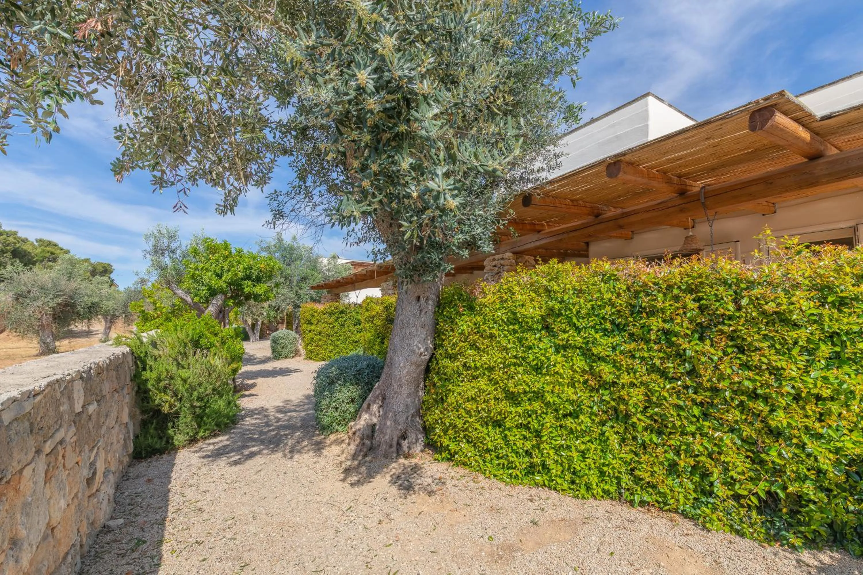 Garden in Cava Li Santi Residence