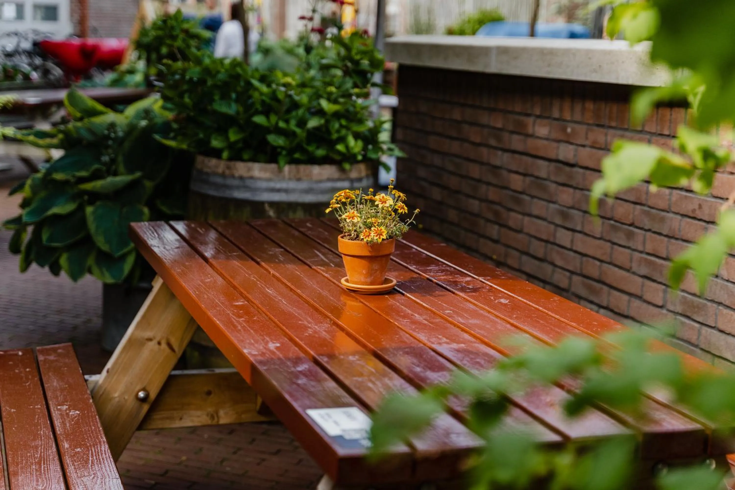Patio in Hotel De Hallen