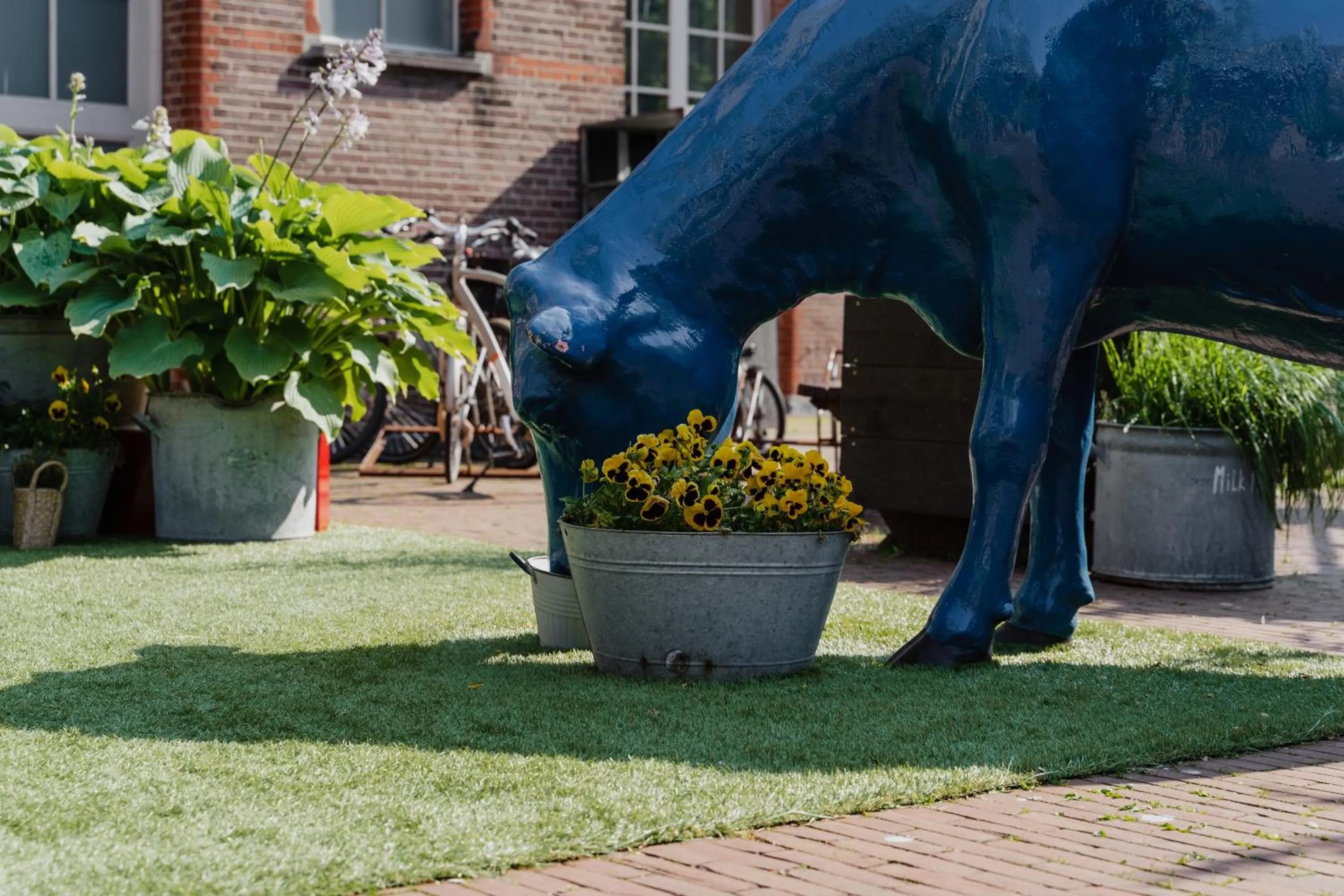 Patio in Hotel De Hallen