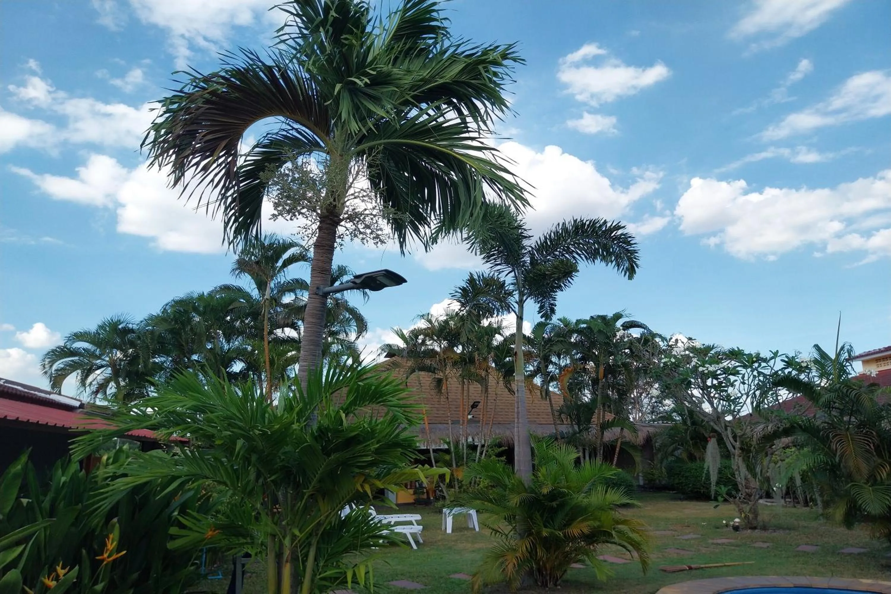Garden in Kanchira Resort