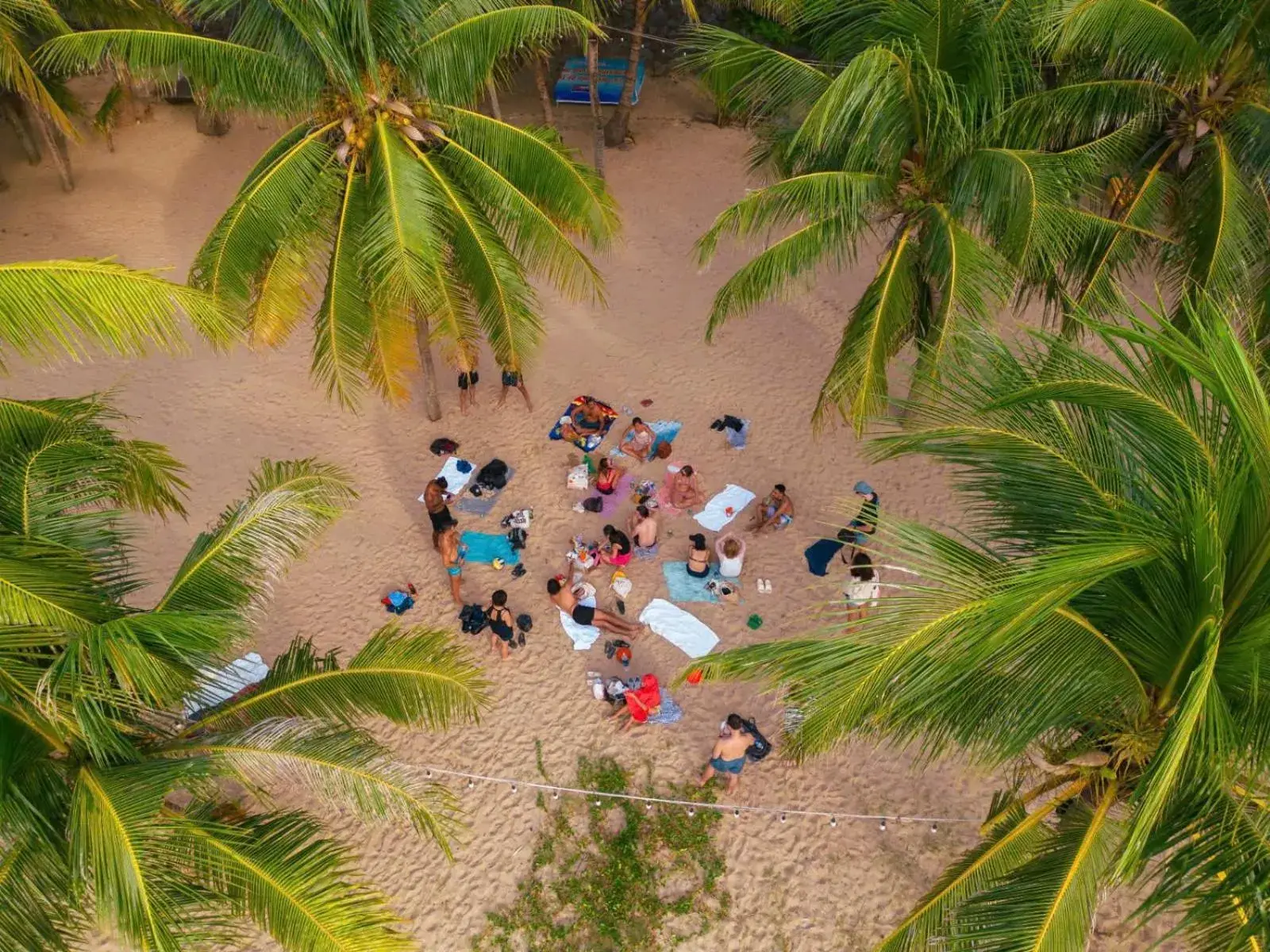 Deluxe Twin Room - single occupancy in Waikiki Beach Hotel Deluxe Twin Room - single occupancy in Waikiki Beach Hotel