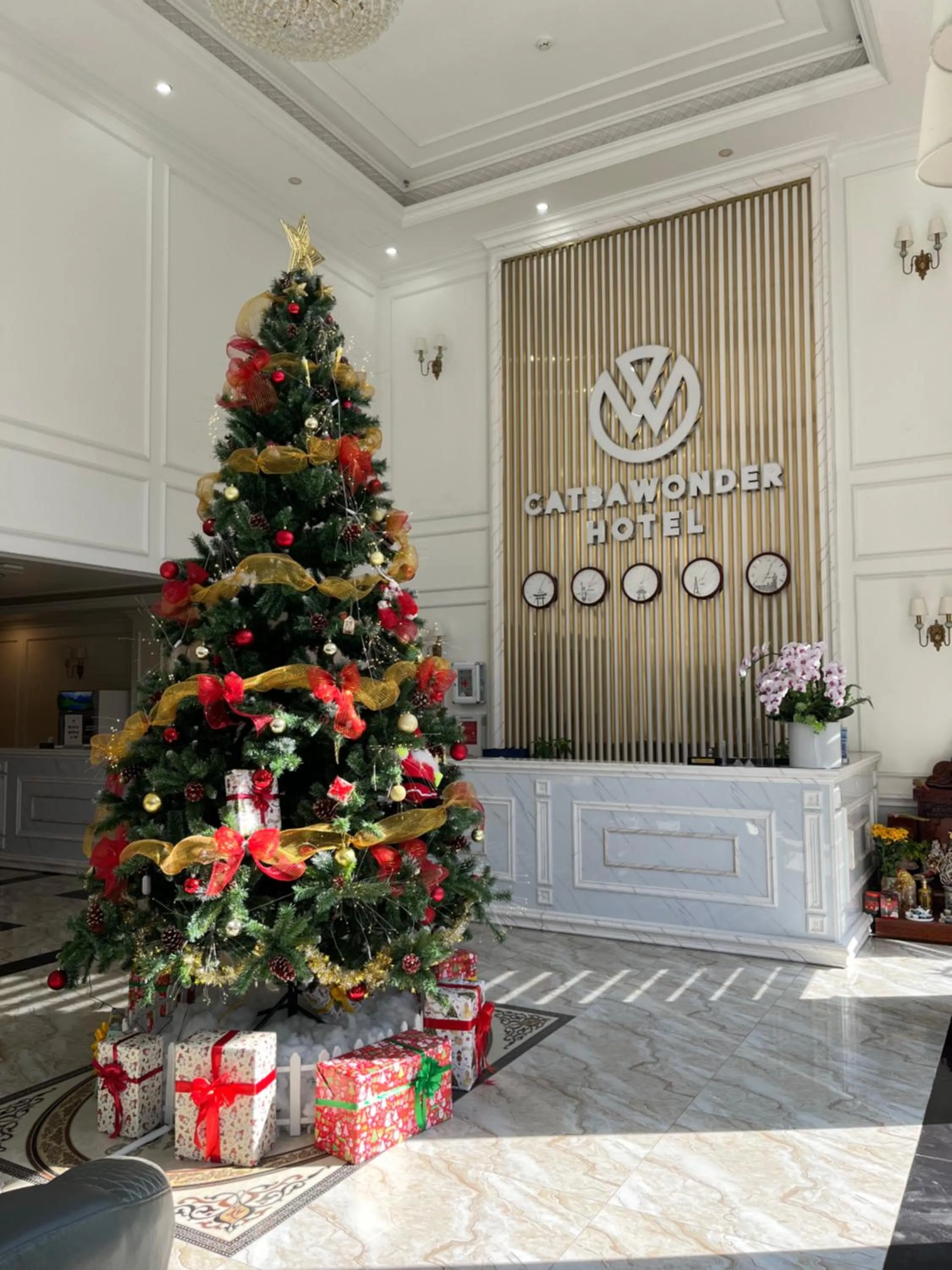 Lobby or reception in Cat Ba Wonder Hotel