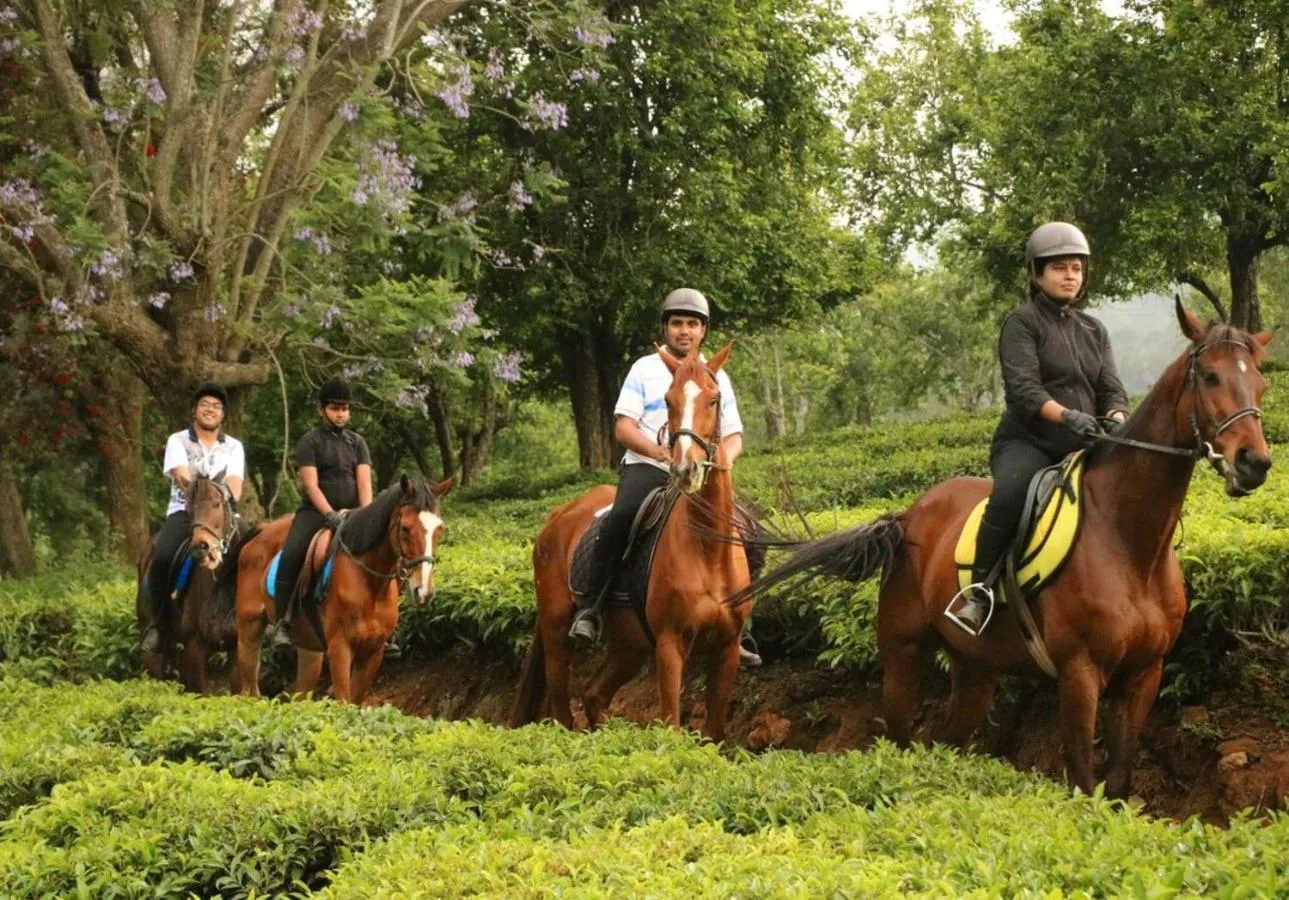 Horse-riding in Willow Hill by Nature Resorts and Stays