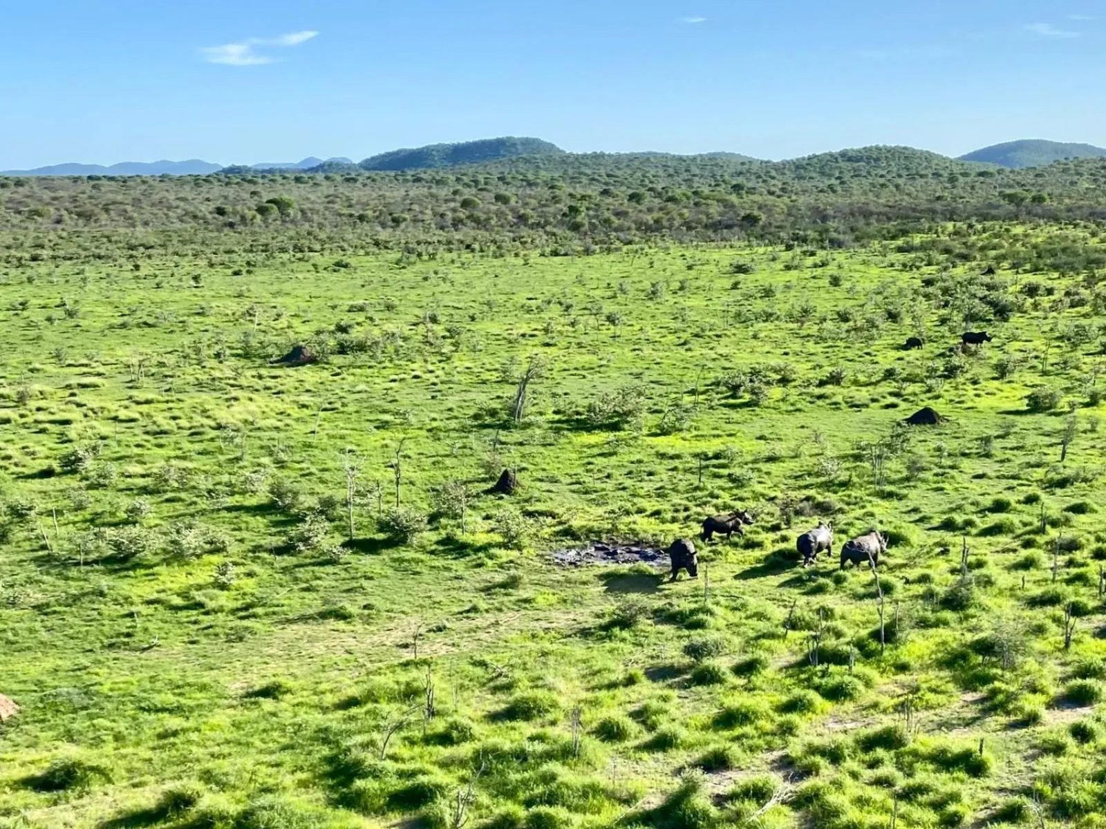 Natural landscape in Kifaru Bush camp