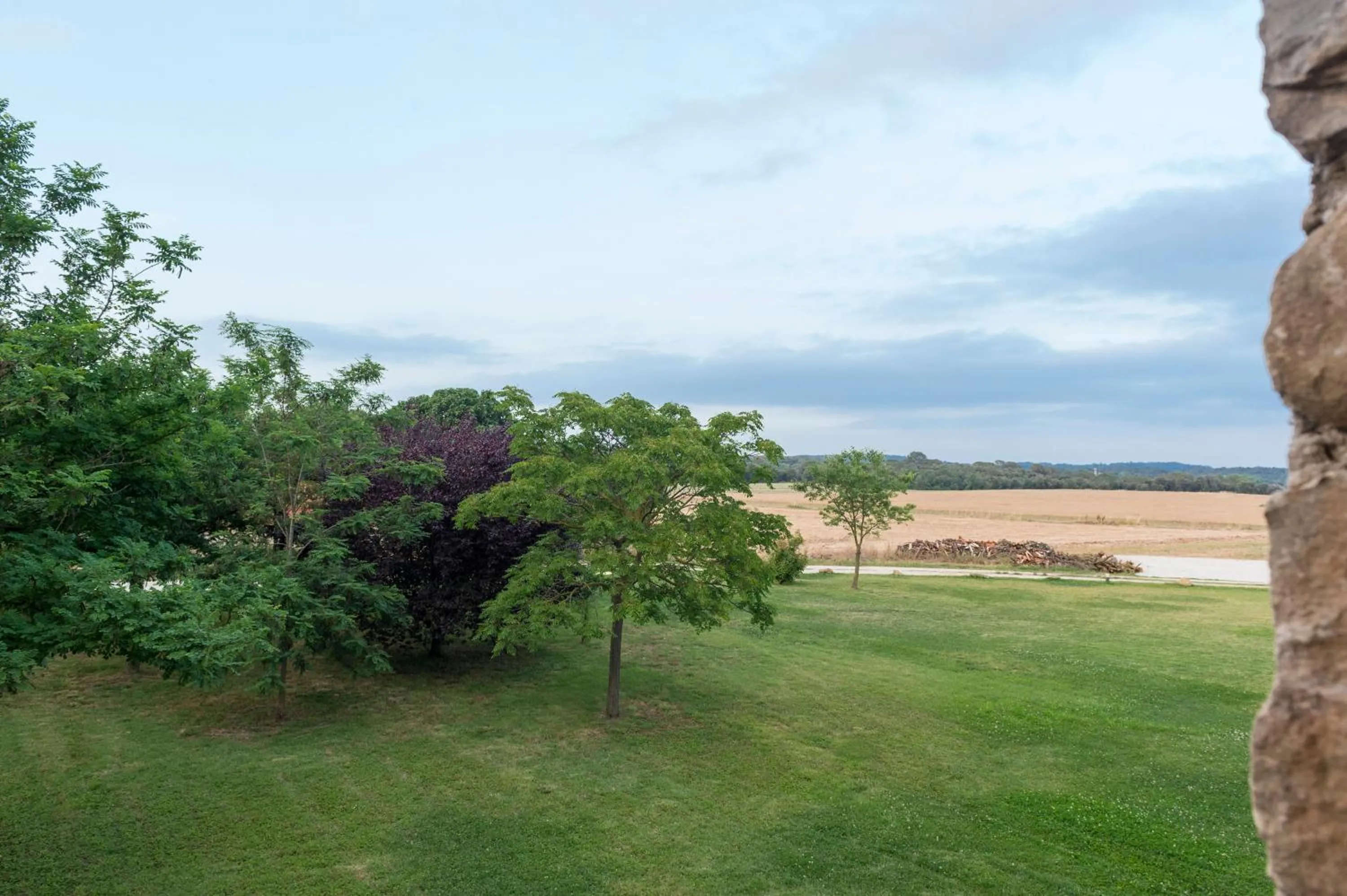 Garden view in Mas Pere Pau