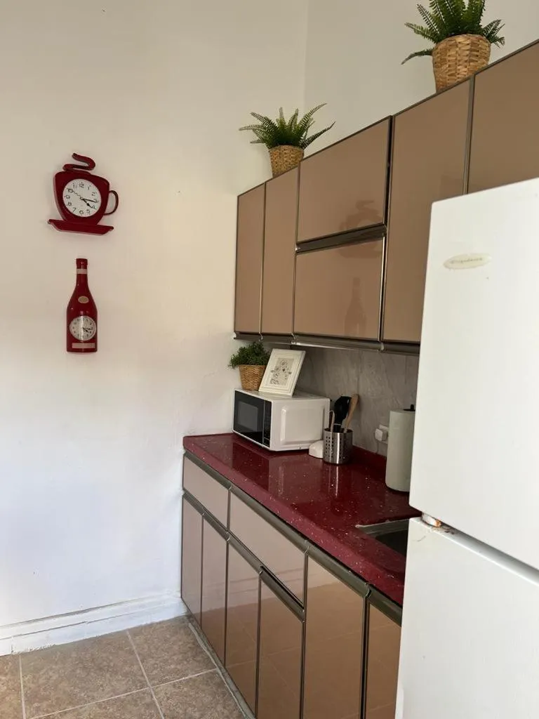 Kitchen or kitchenette in Janer House at San Juan