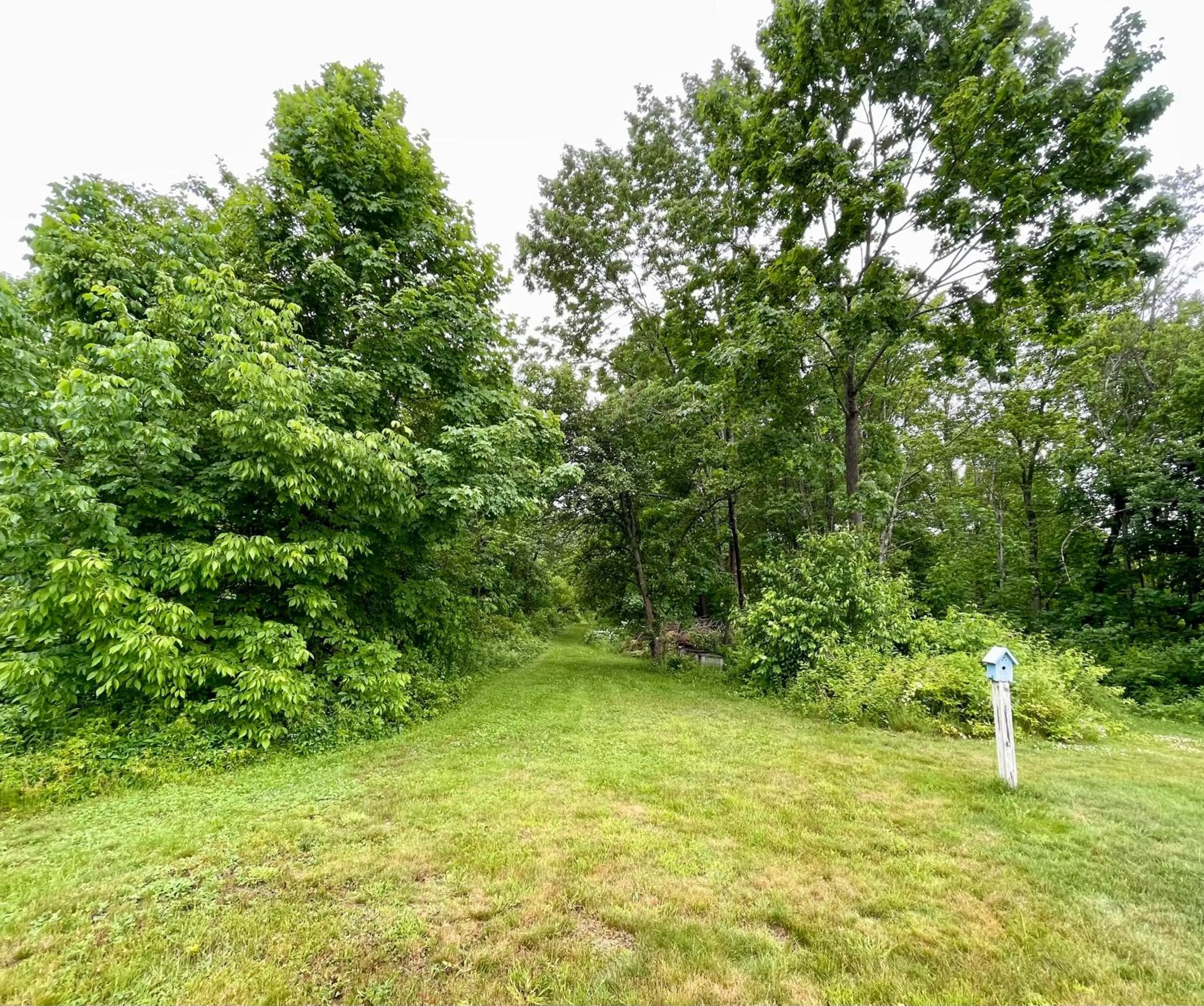 Garden in Seascape Motel & Cottages