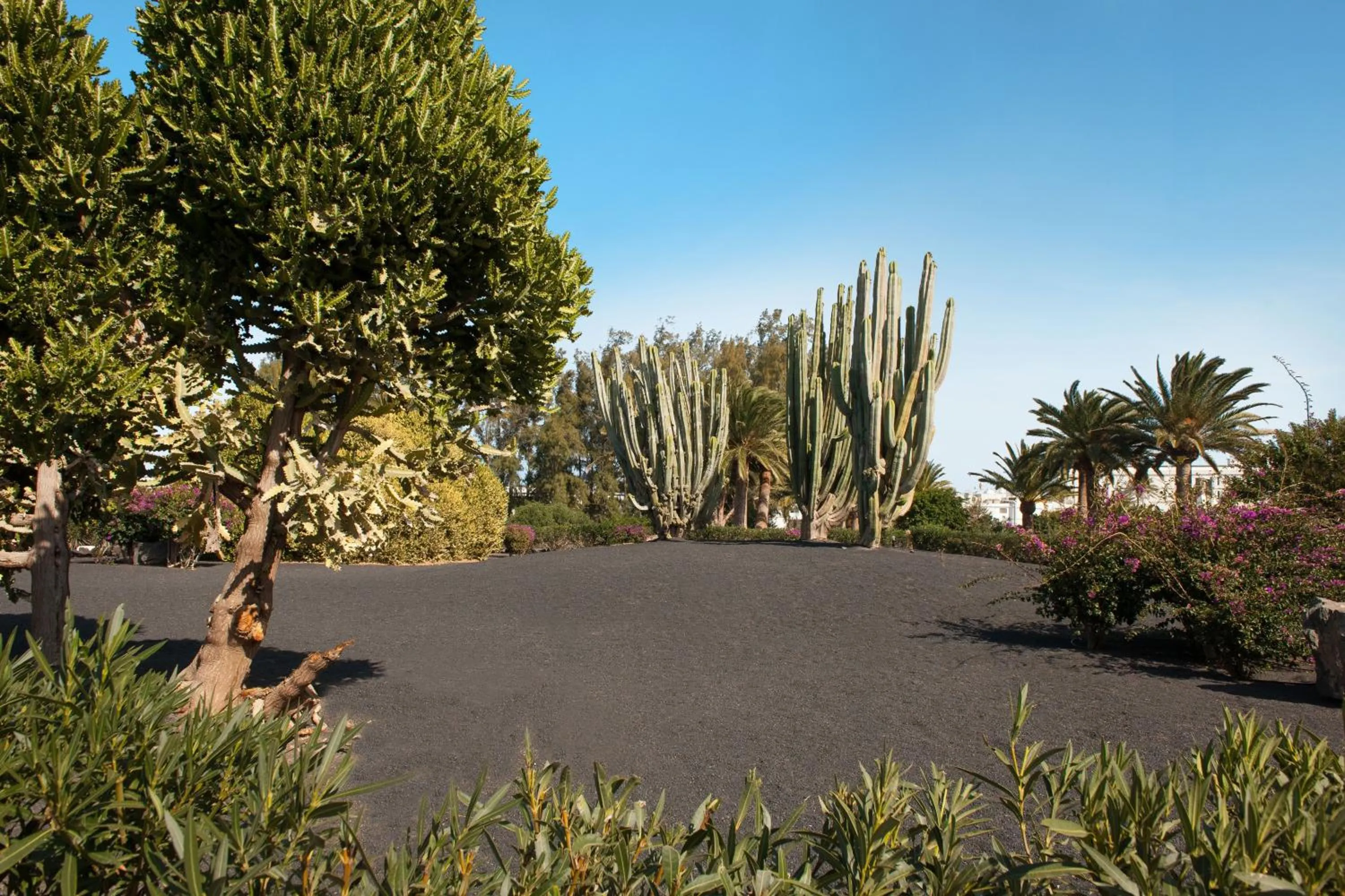 Garden in Relaxia Olivina