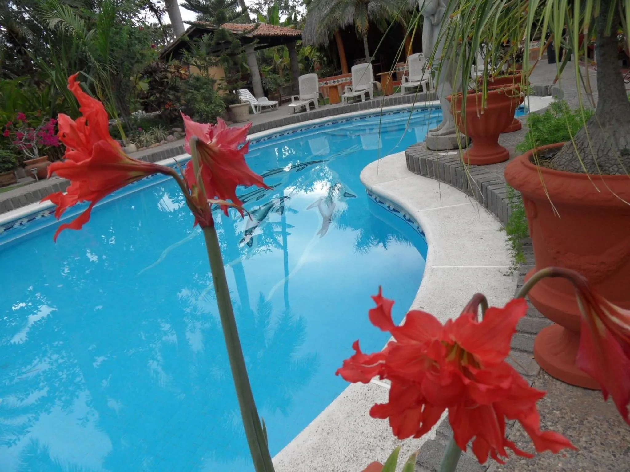 Swimming pool in Casa Virgilio B&B