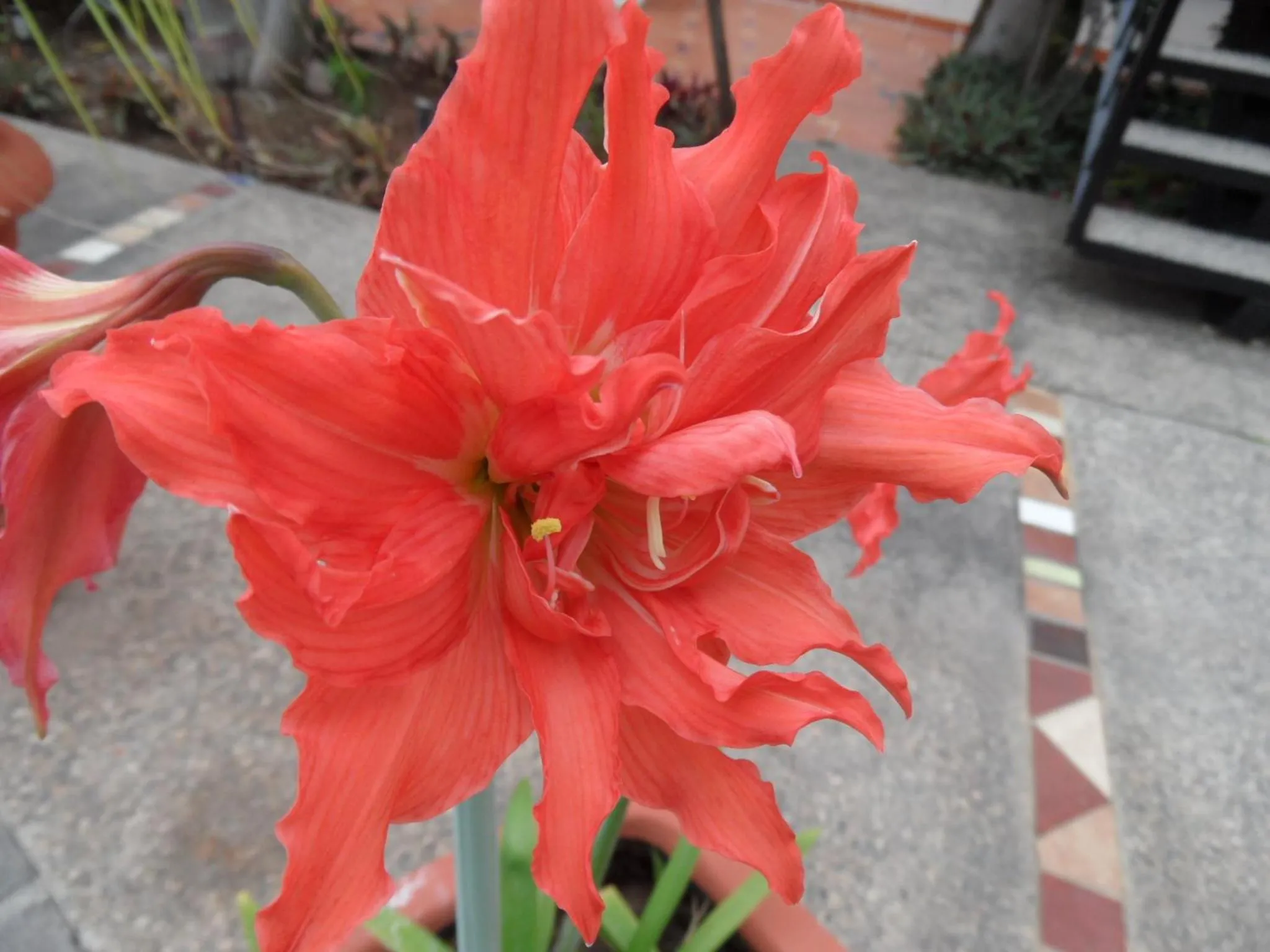 Decorative detail in Casa Virgilio B&B