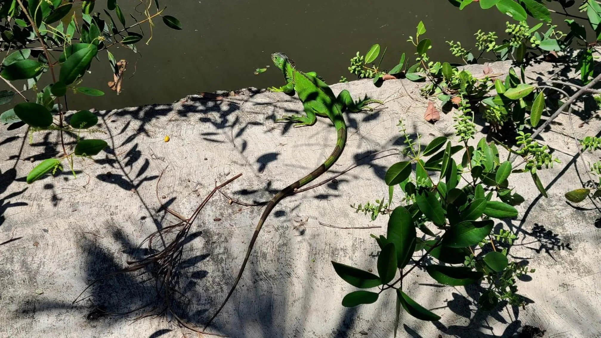 Natural landscape in Casa Virgilio B&B