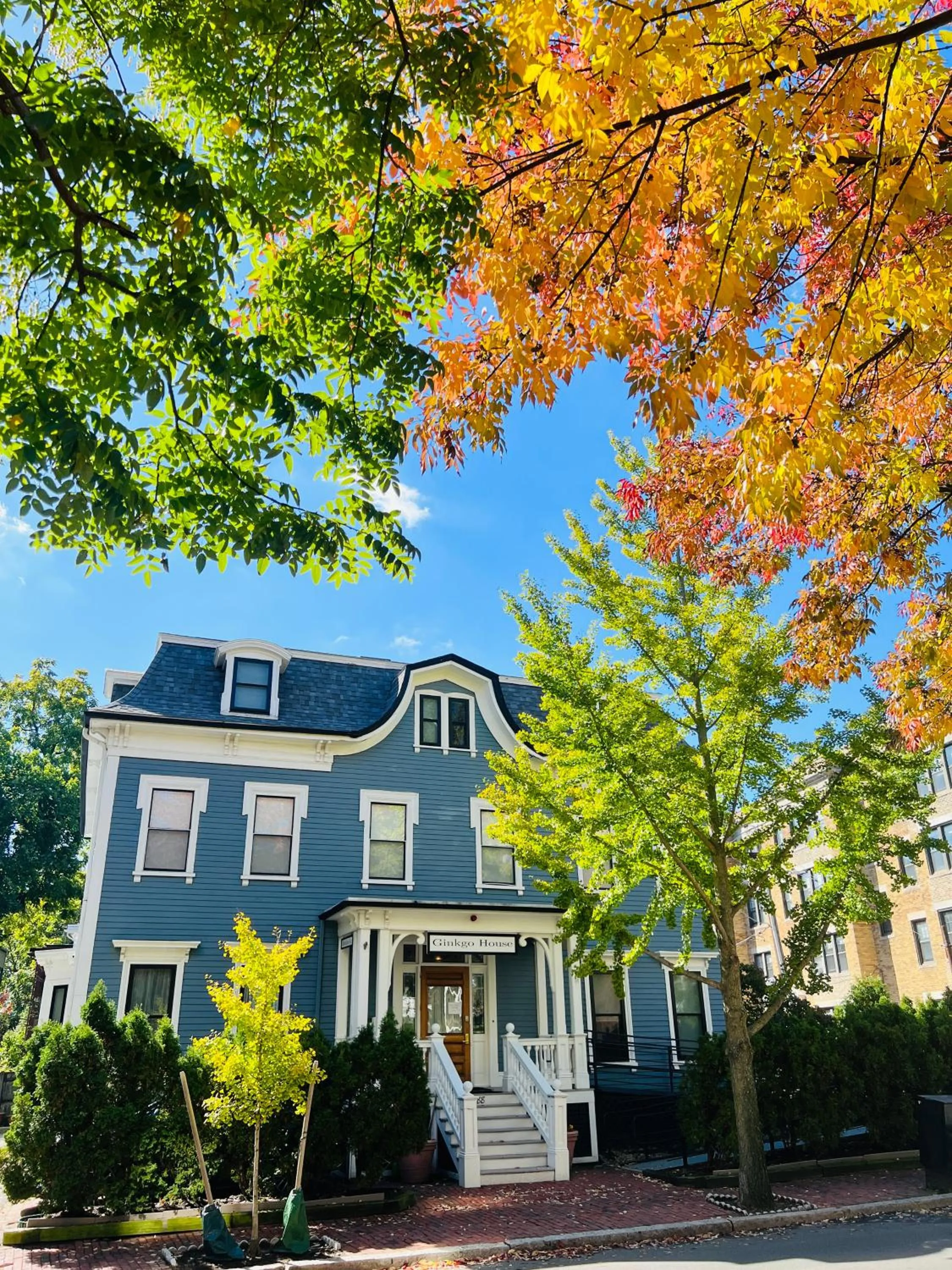 Ginkgo House on Harvard