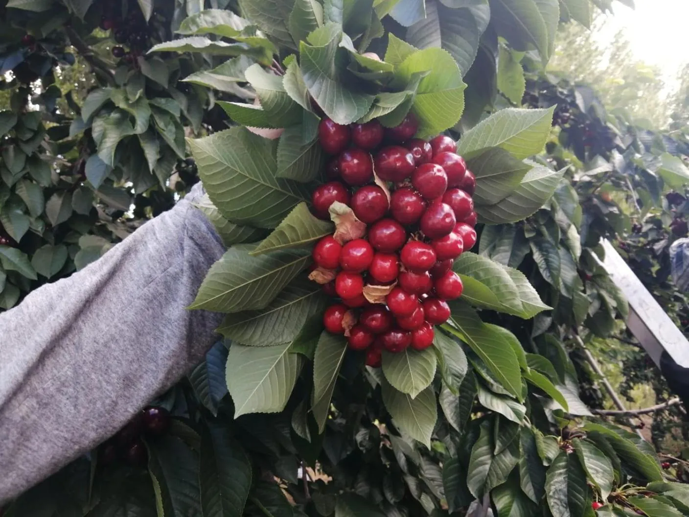 Hostería de la Patagonia