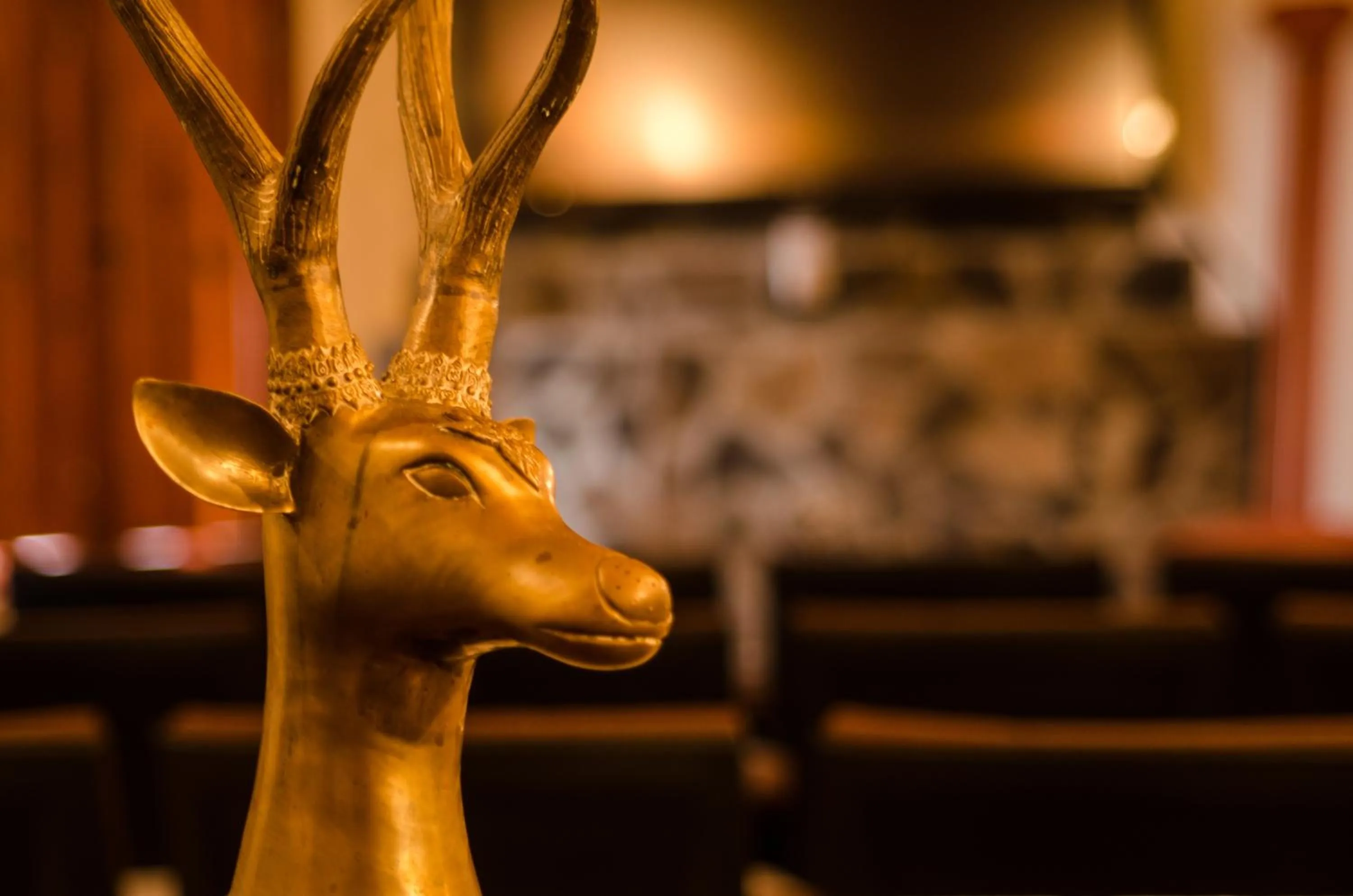 Food and drinks in Hotel La Casona